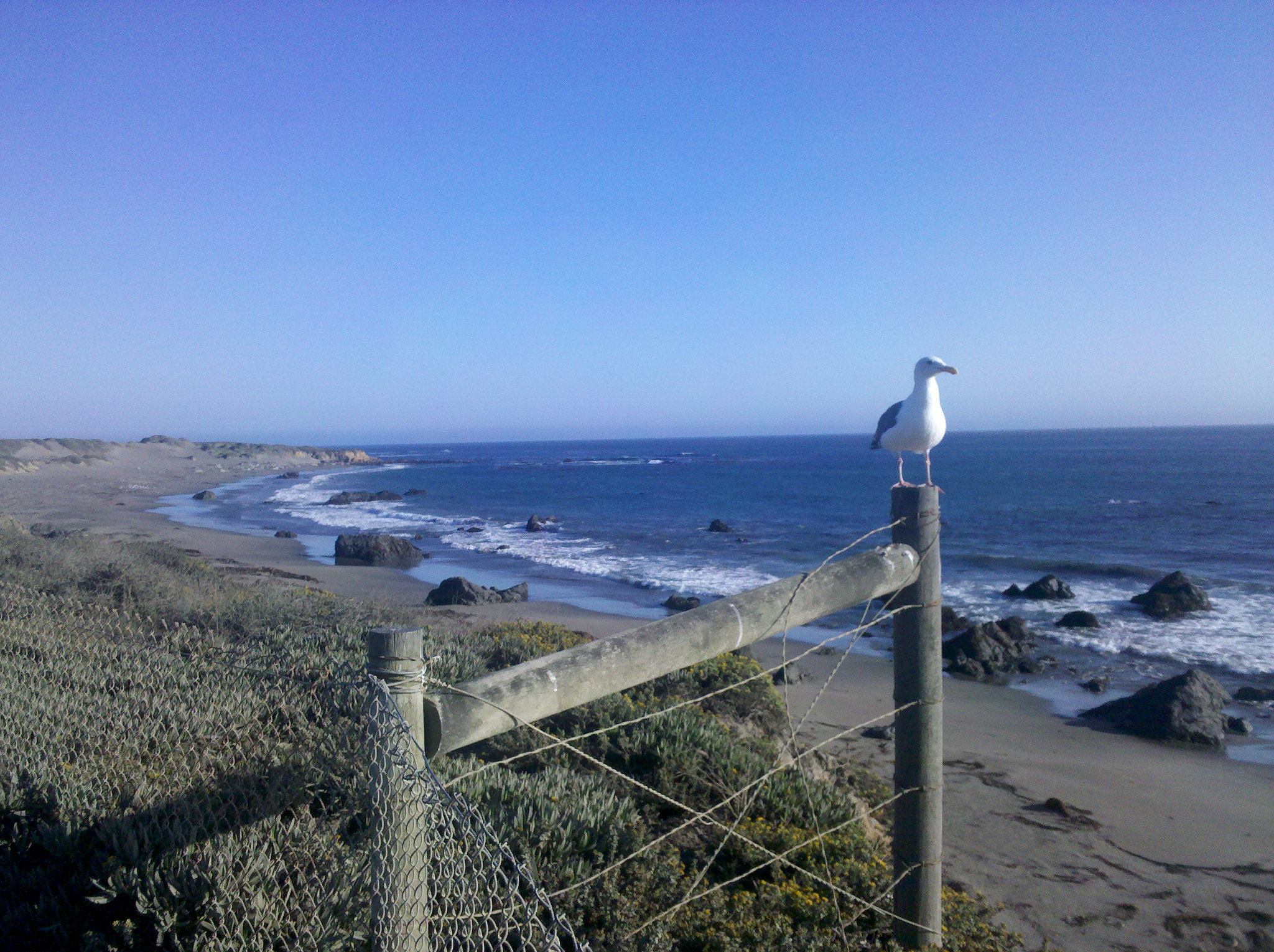 Motorola Droid sample photo. California coast photography