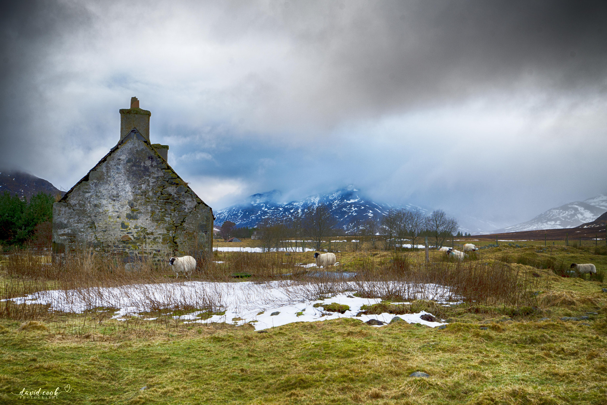 Nikon D610 sample photo. Scottish highlands photography
