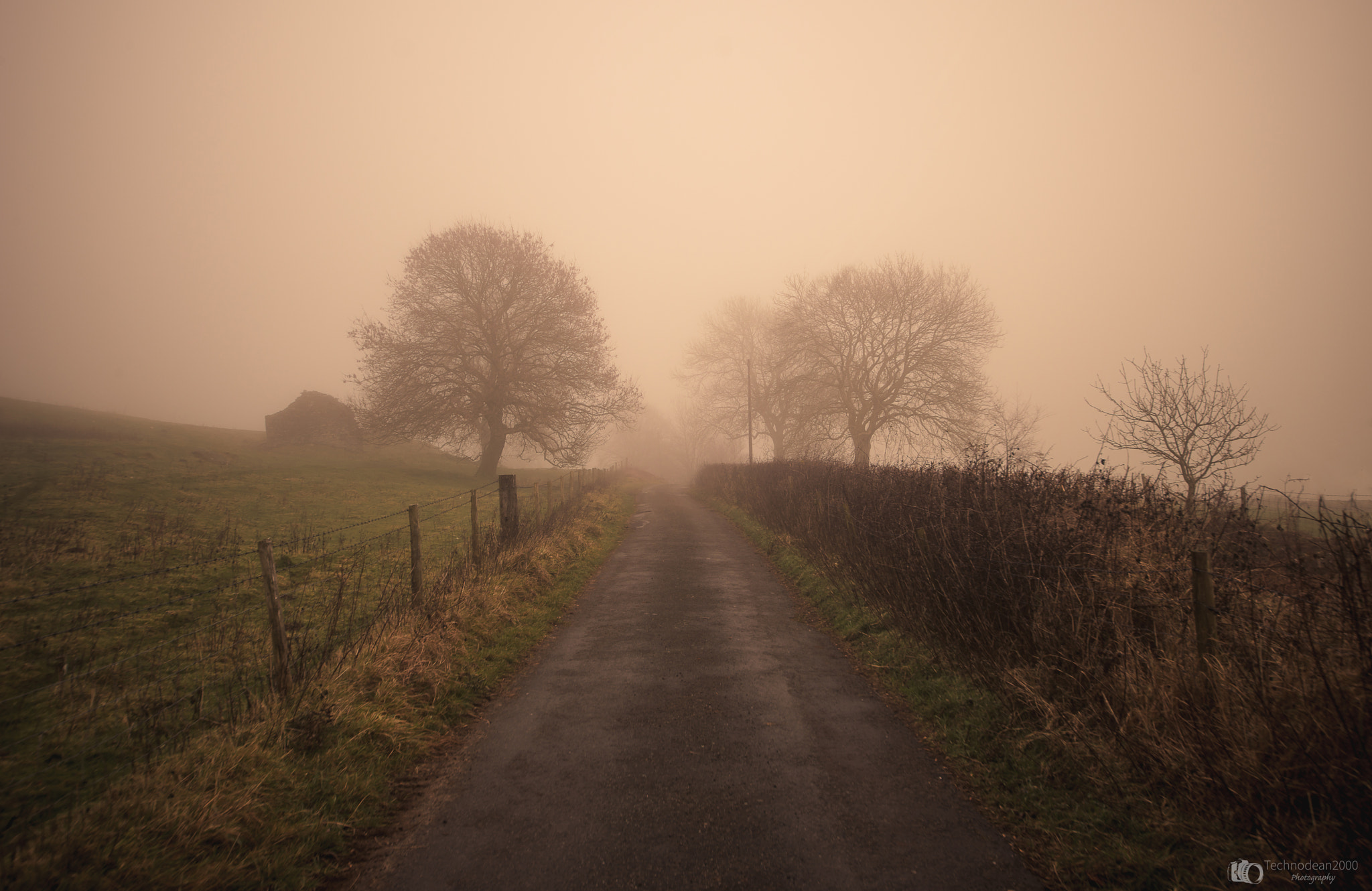 Nikon D610 sample photo. Foggy mountain road photography