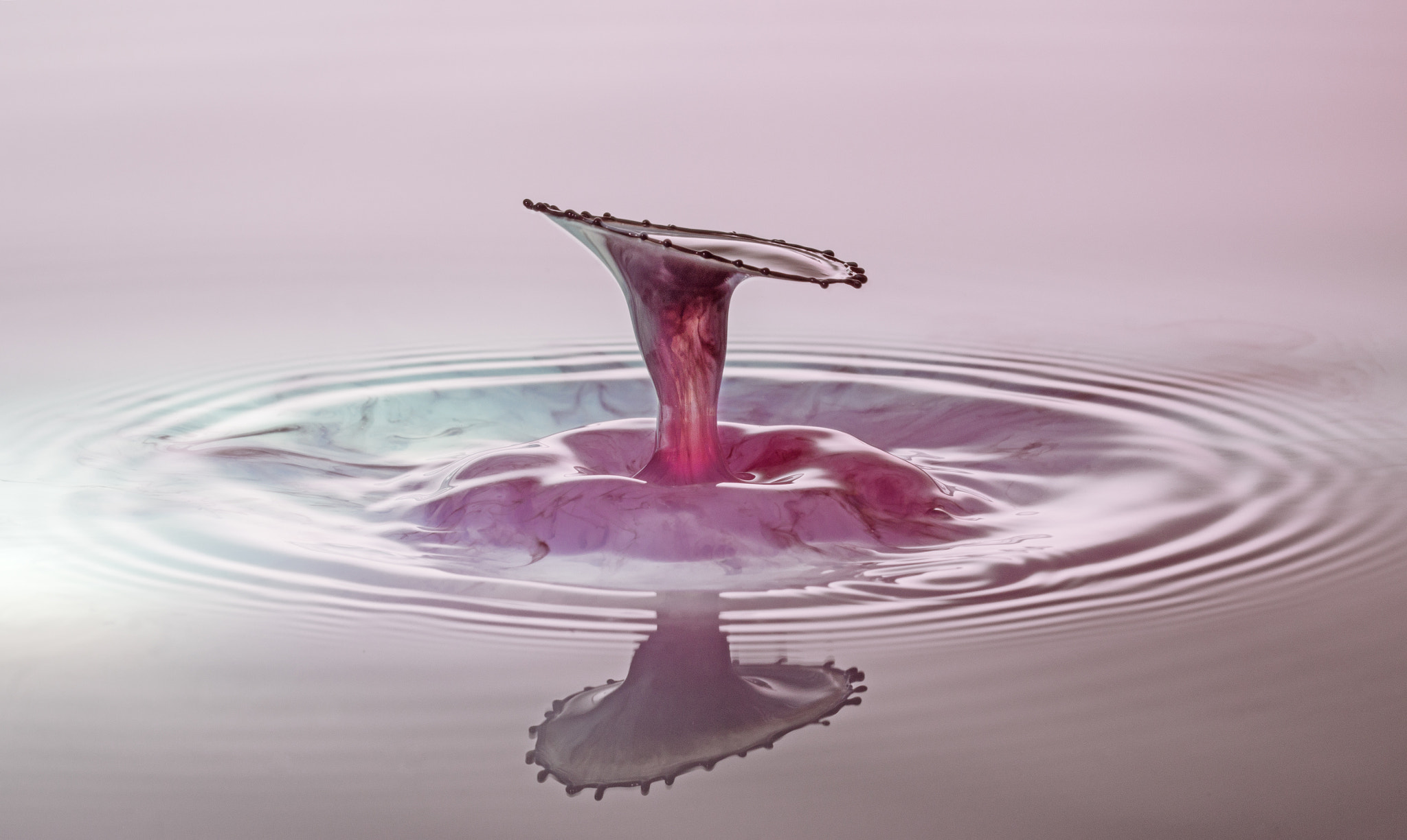 150mm F2.8 sample photo. Colordrop photography
