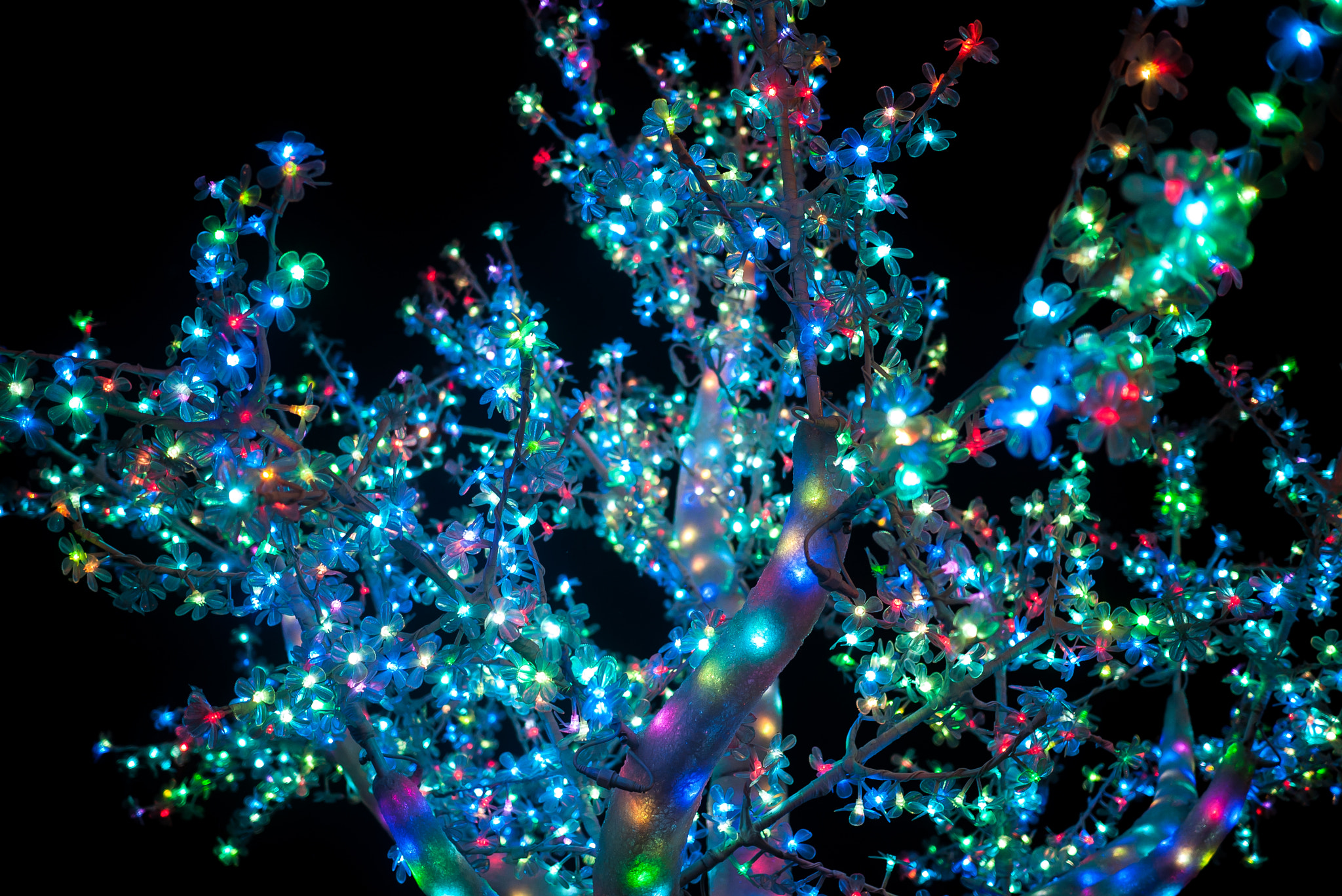 Panasonic Lumix DMC-GF1 + Panasonic Lumix G 20mm F1.7 ASPH sample photo. Navidad pasada. photography