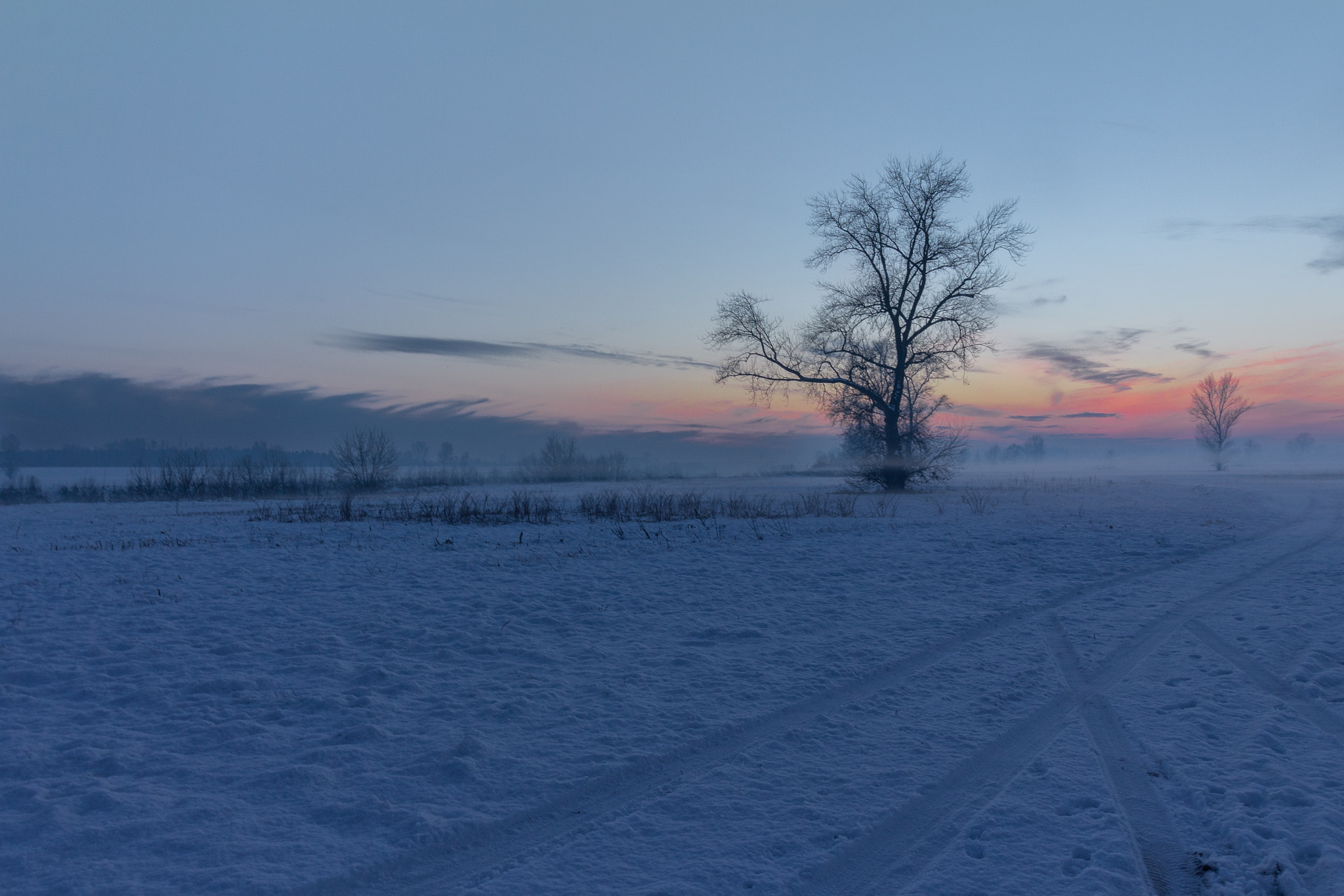 Canon EOS 100D (EOS Rebel SL1 / EOS Kiss X7) sample photo. Winter wonderland photography
