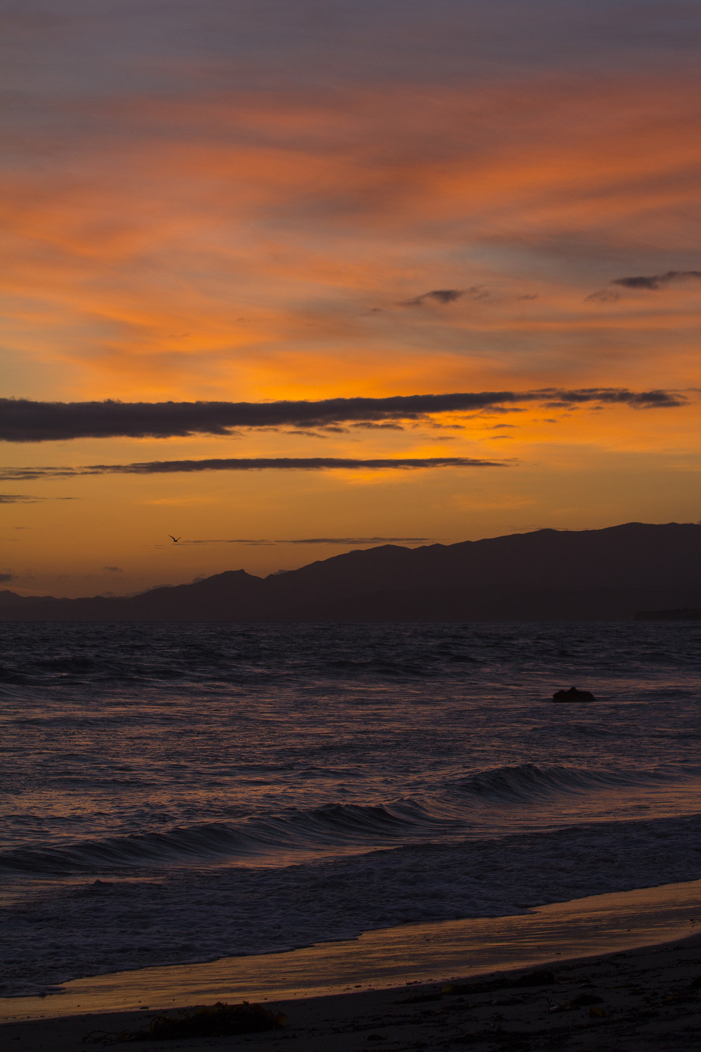 Canon EOS 600D (Rebel EOS T3i / EOS Kiss X5) sample photo. Santa barbara photography