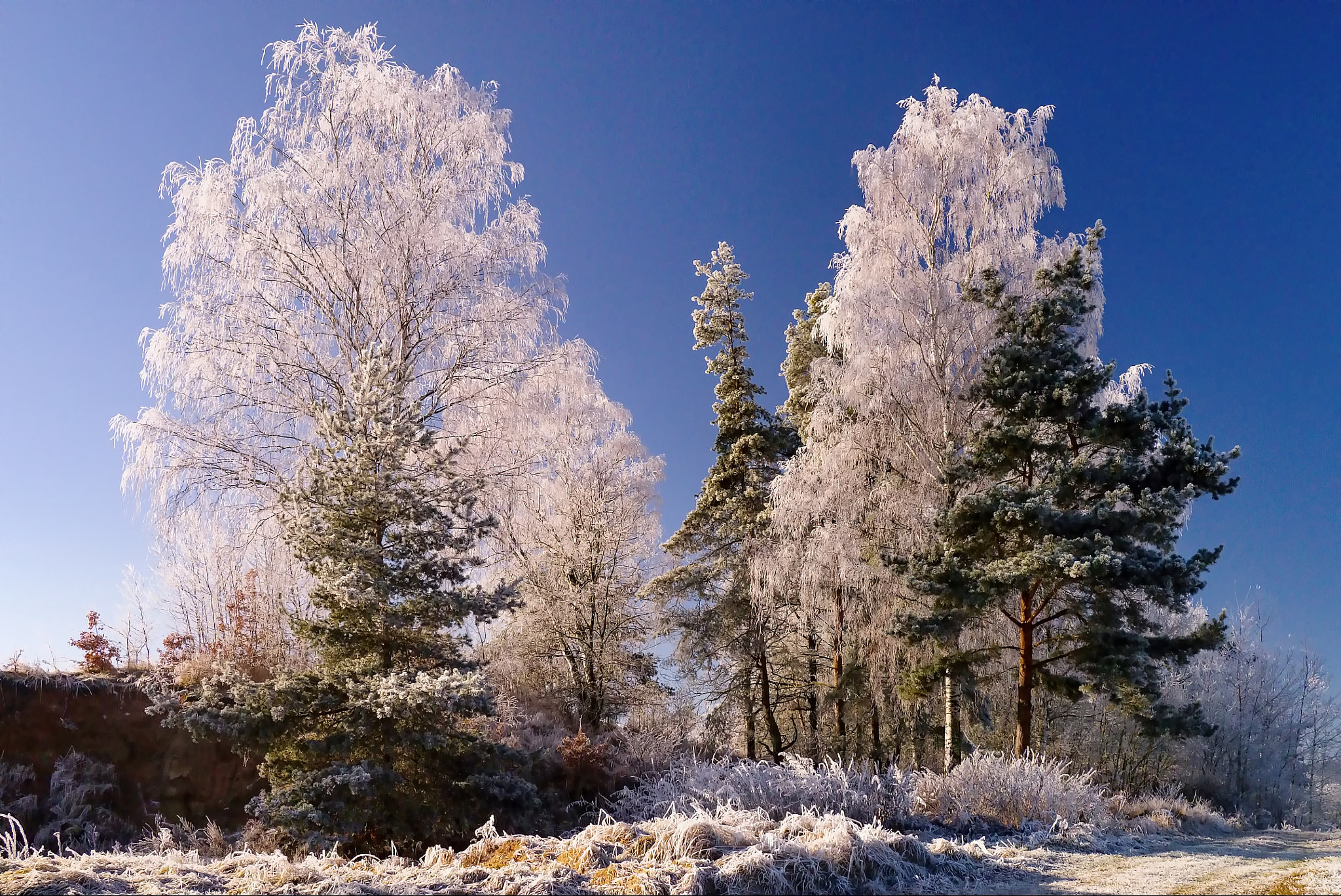 Panasonic Lumix DMC-GX1 sample photo. Winter photography