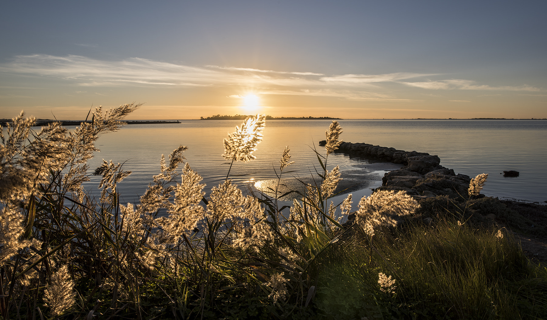 Nikon D810 + Nikon AF-S Nikkor 200-400mm F4G ED-IF VR sample photo. Fiori di luce photography