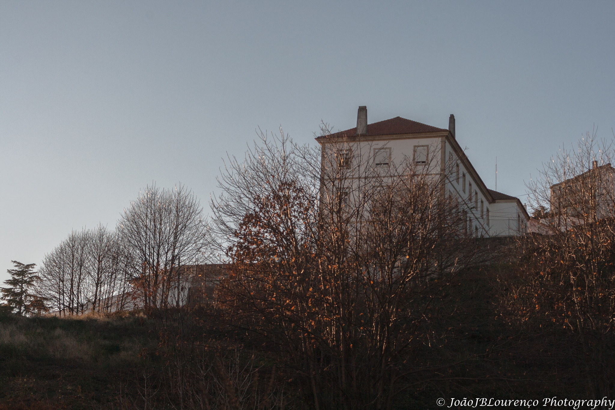 Canon EF 28-80mm f/3.5-5.6 sample photo. Looking up.. photography