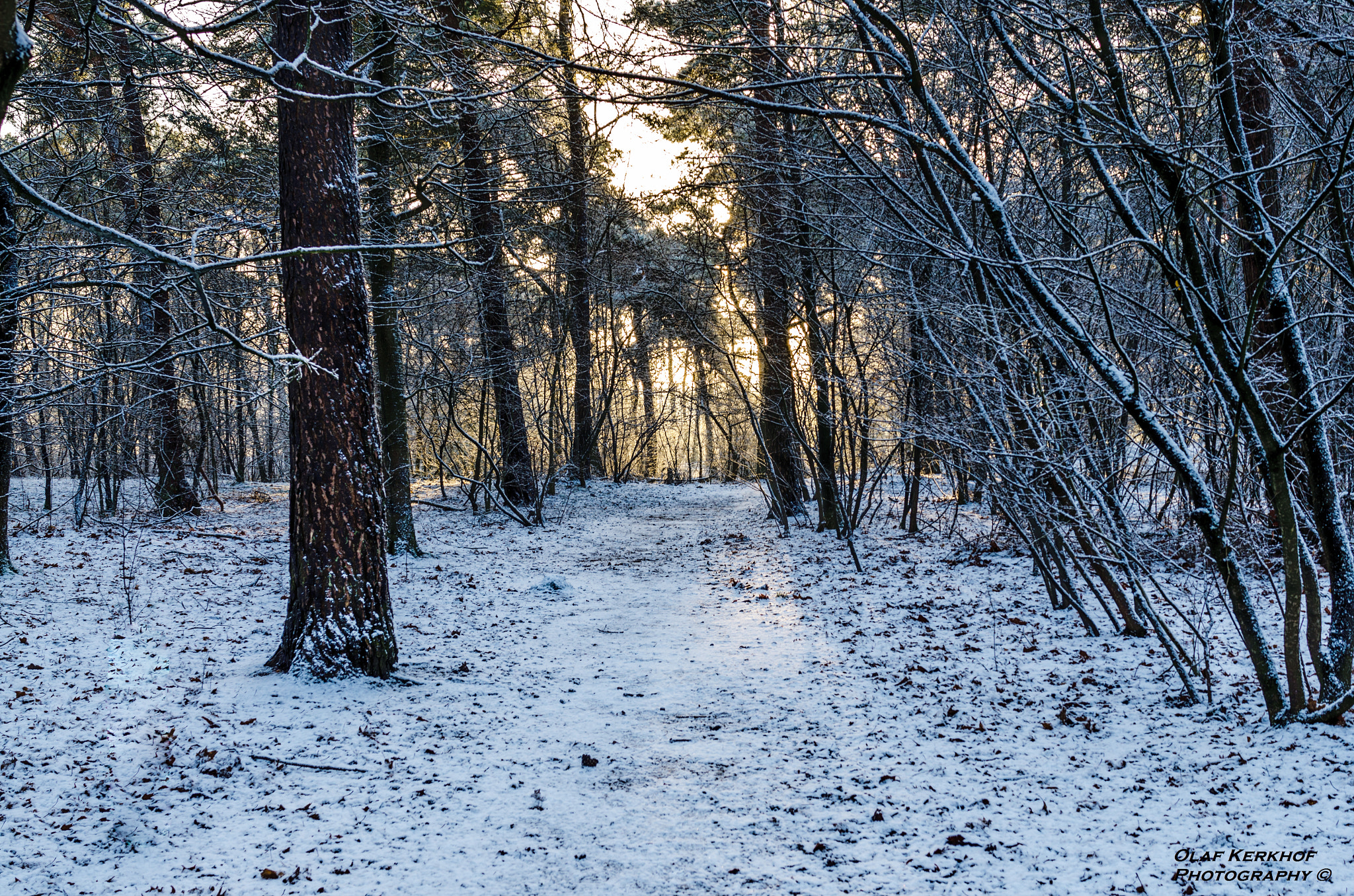 Nikon D7000 + Nikon AF-S Nikkor 28mm F1.8G sample photo. Winter trail) photography