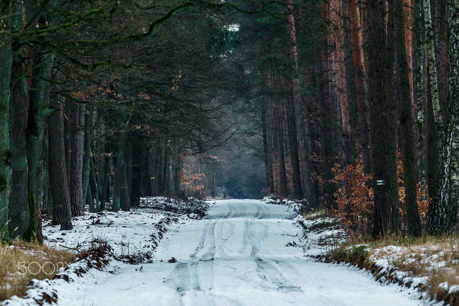 Canon EOS 700D (EOS Rebel T5i / EOS Kiss X7i) + Canon EF 70-200mm F4L USM sample photo. Snowy road photography