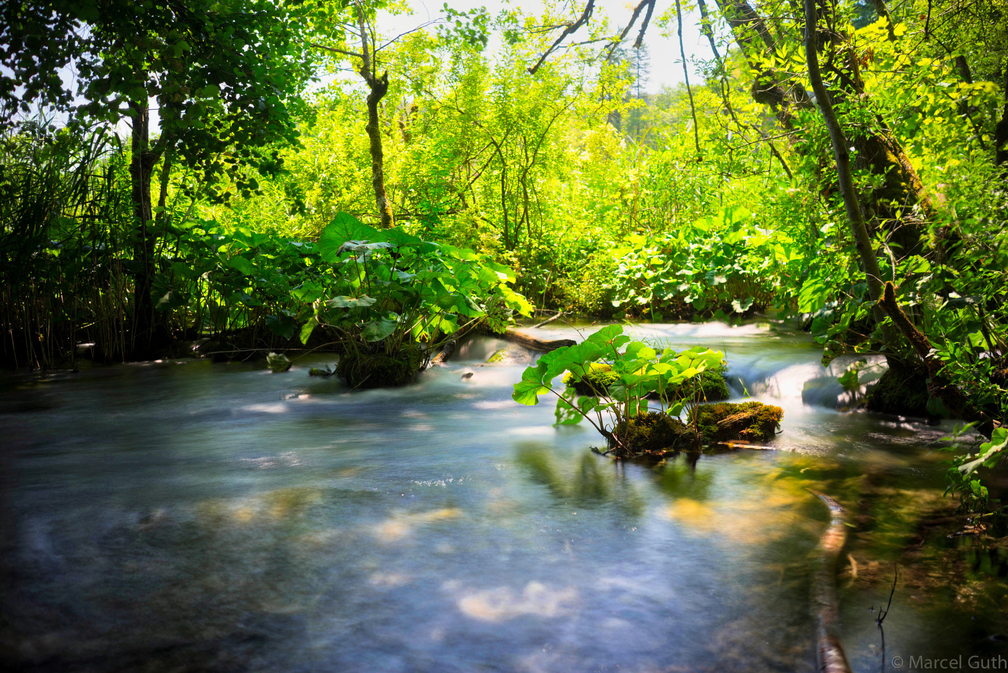 Sony a7R sample photo. Creek in croatia photography