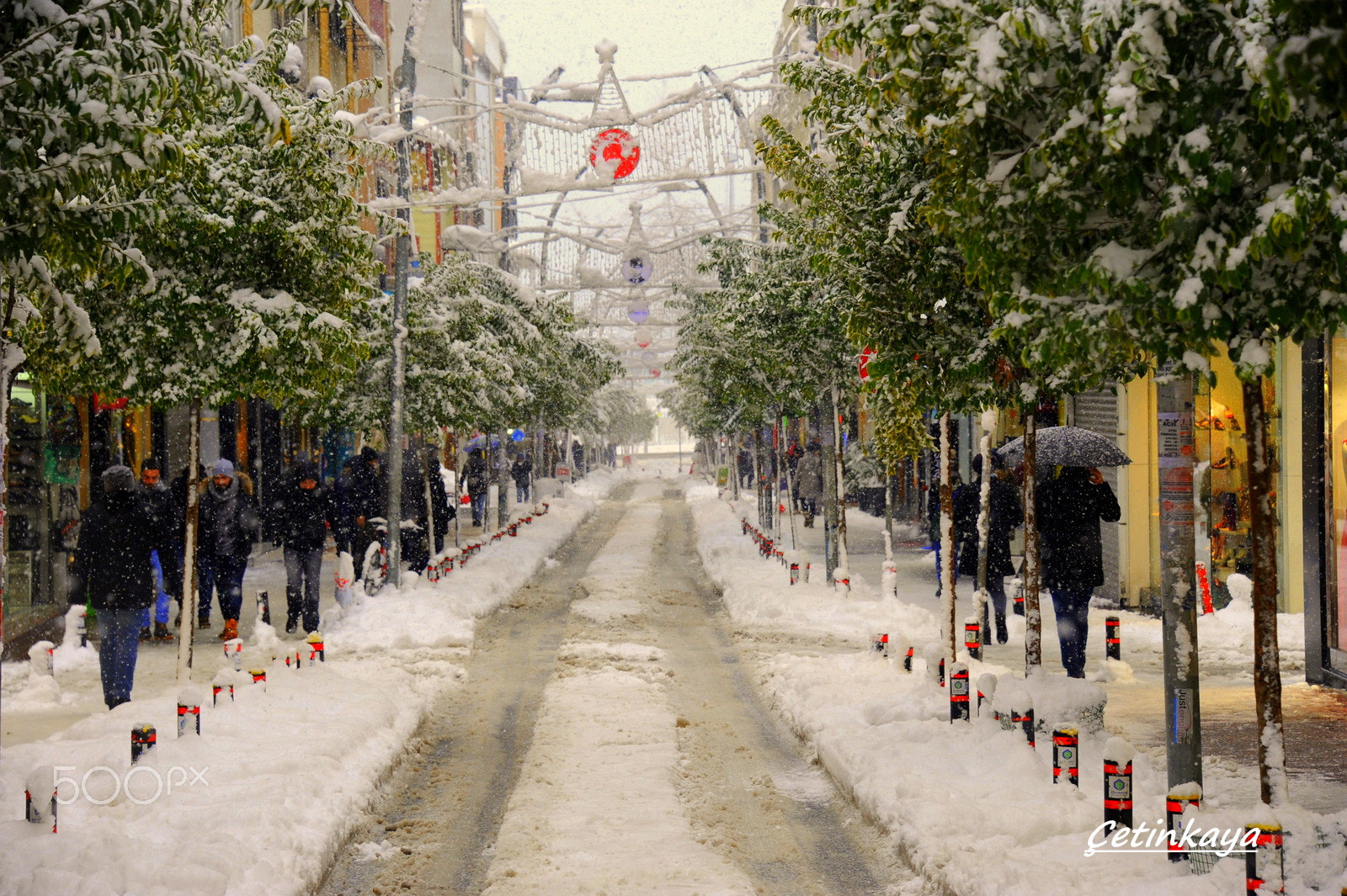 Nikon D3 sample photo. A snowy day photography