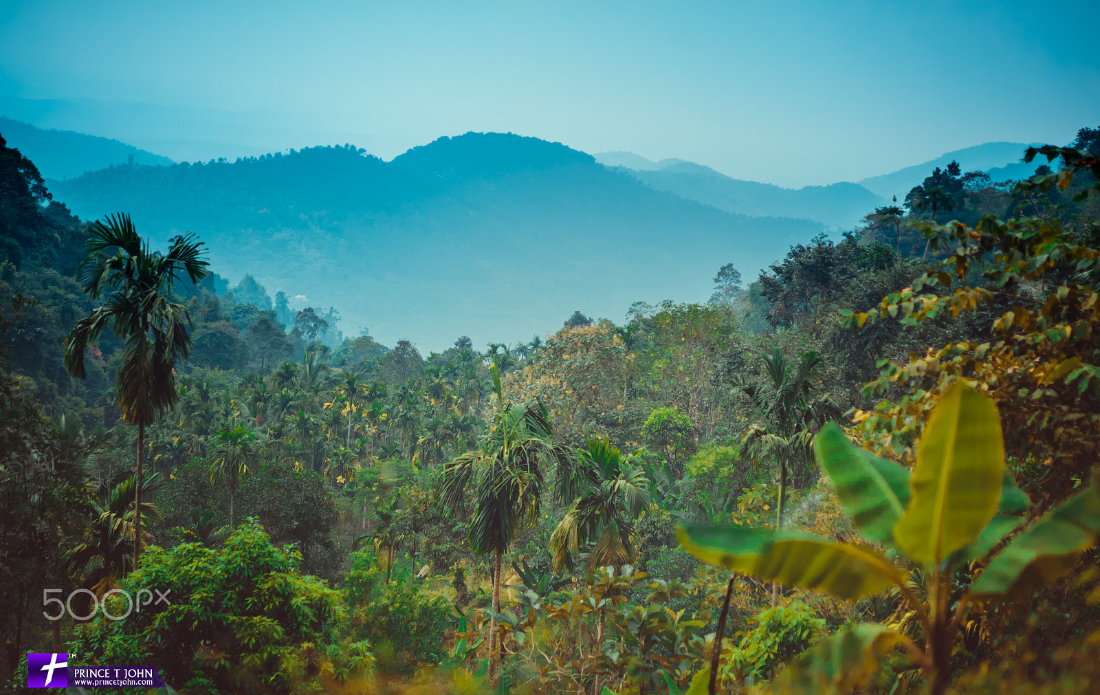 Sony a7S + Minolta AF 28-70mm F2.8 G sample photo. Palavayal kerala photography