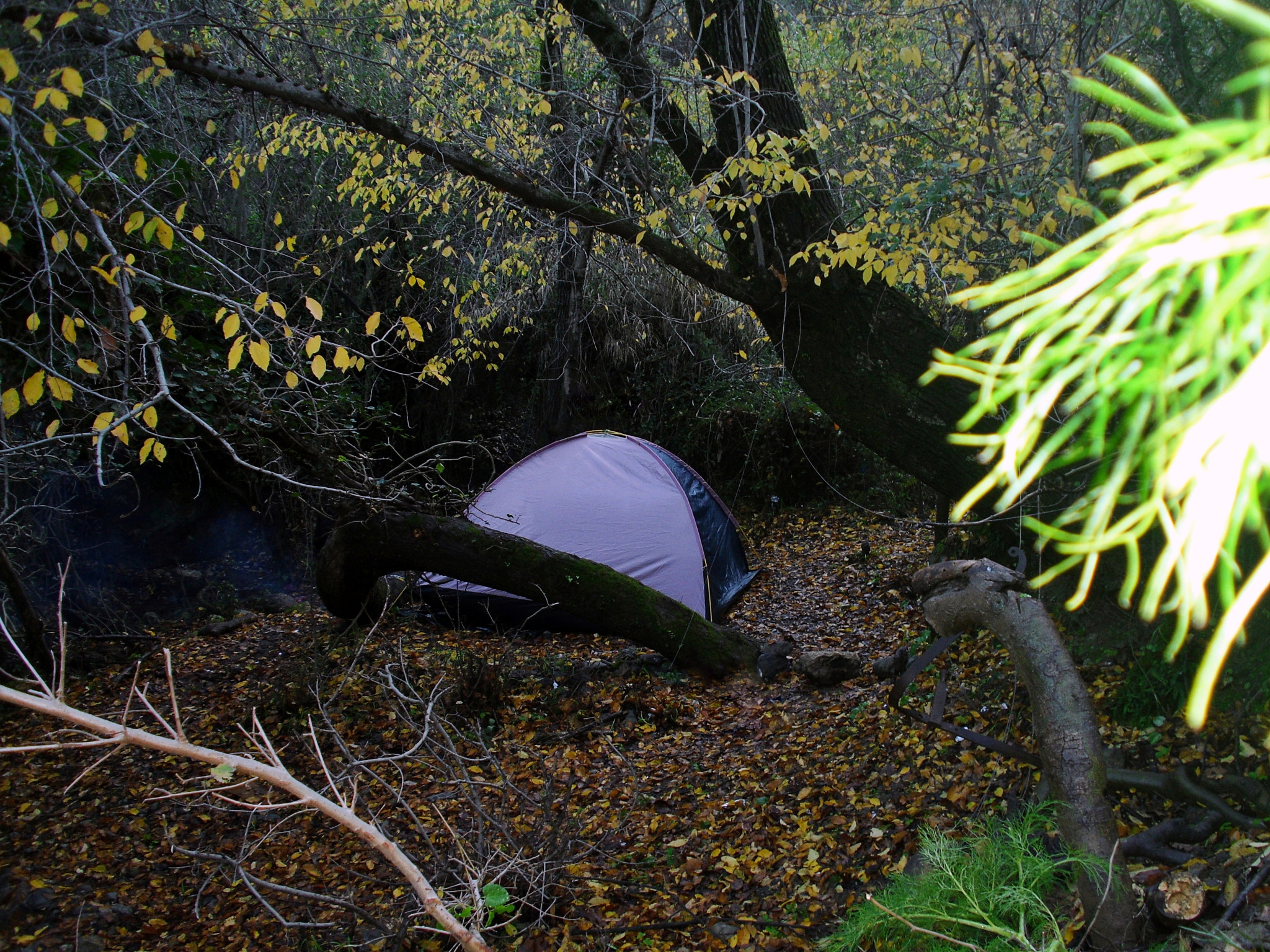Samsung PL90/VLUU PL90 sample photo. The campsite photography