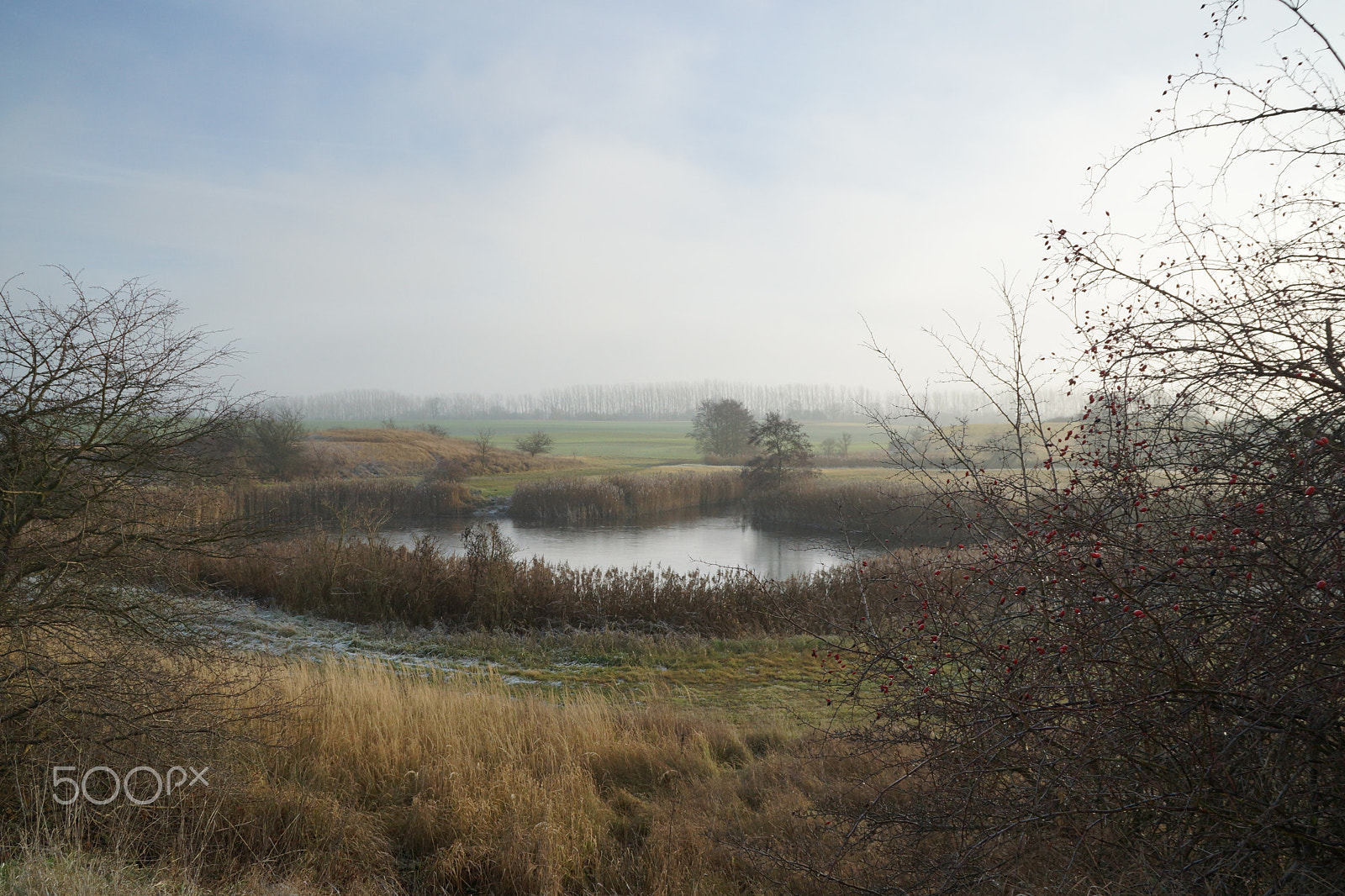 Sony SLT-A65 (SLT-A65V) sample photo. Germany, mühlensee vii photography