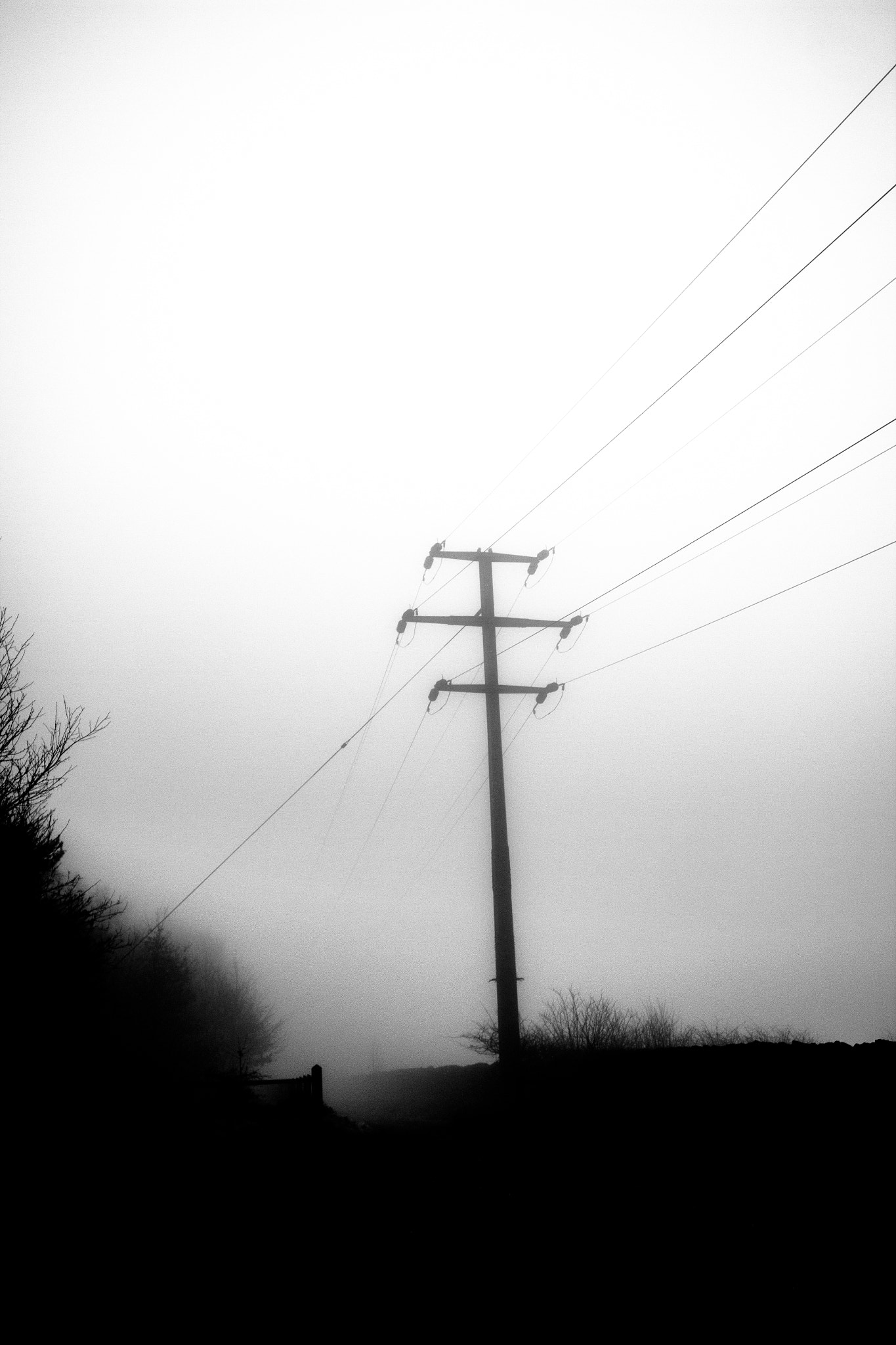 Canon EF 24mm F2.8 IS USM sample photo. Fog photography