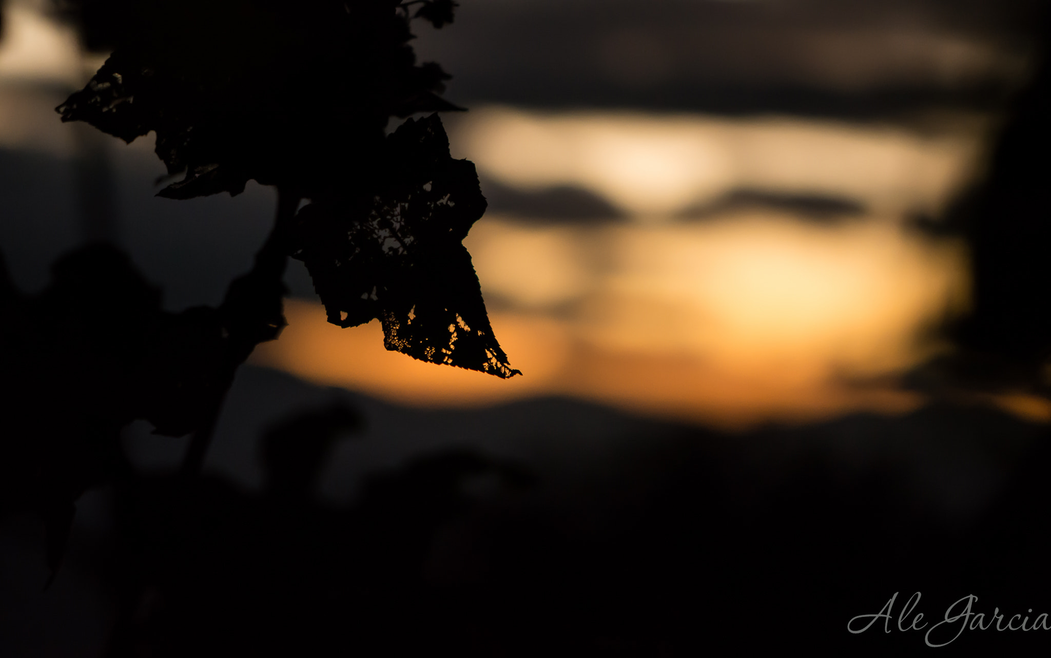 Nikon AF-S DX Micro-Nikkor 85mm F3.5G ED VR sample photo. Sunset in the shadows photography