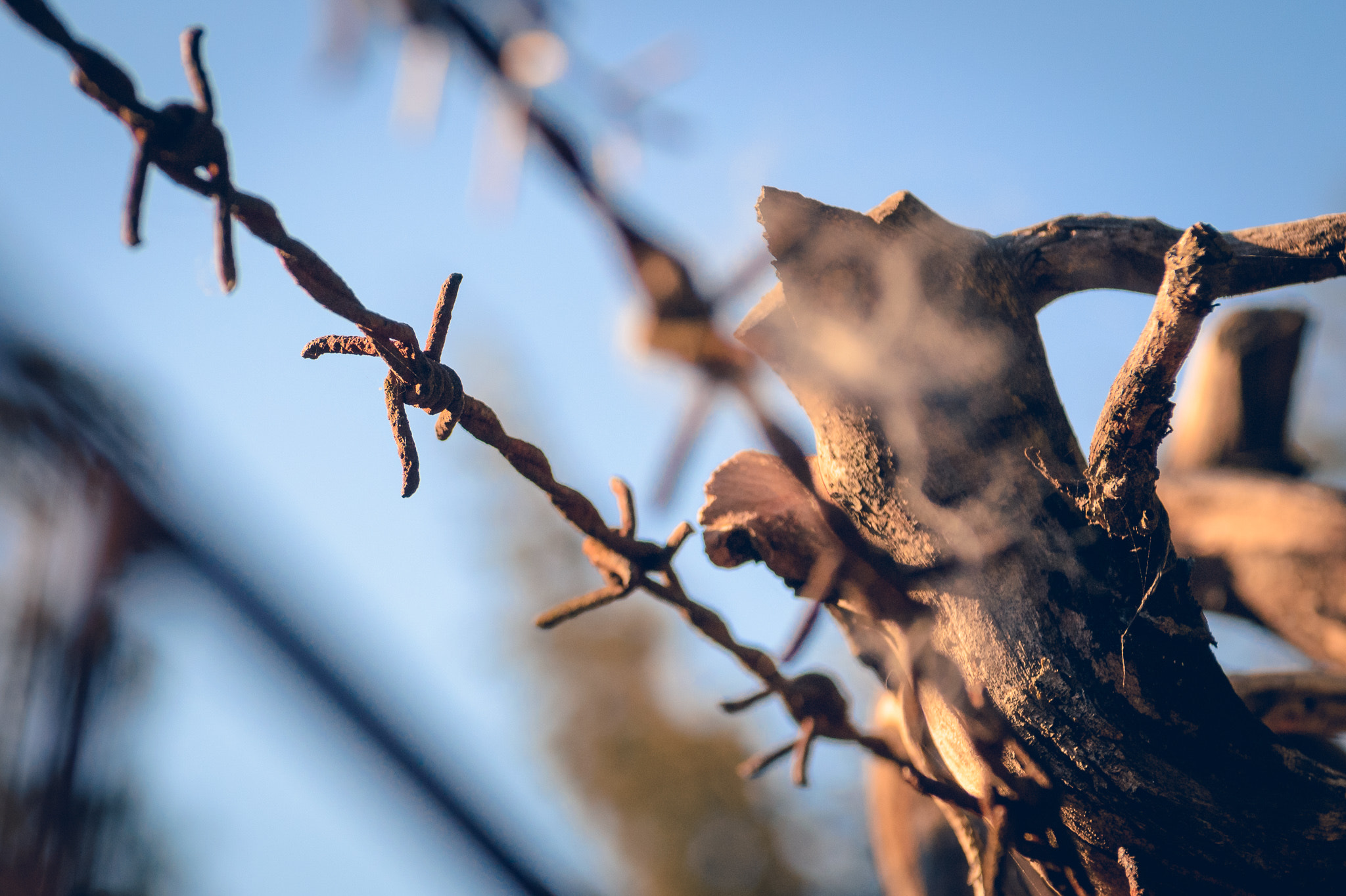Nikon AF-S Nikkor 28-70mm F2.8 ED-IF sample photo. Barbwire photography