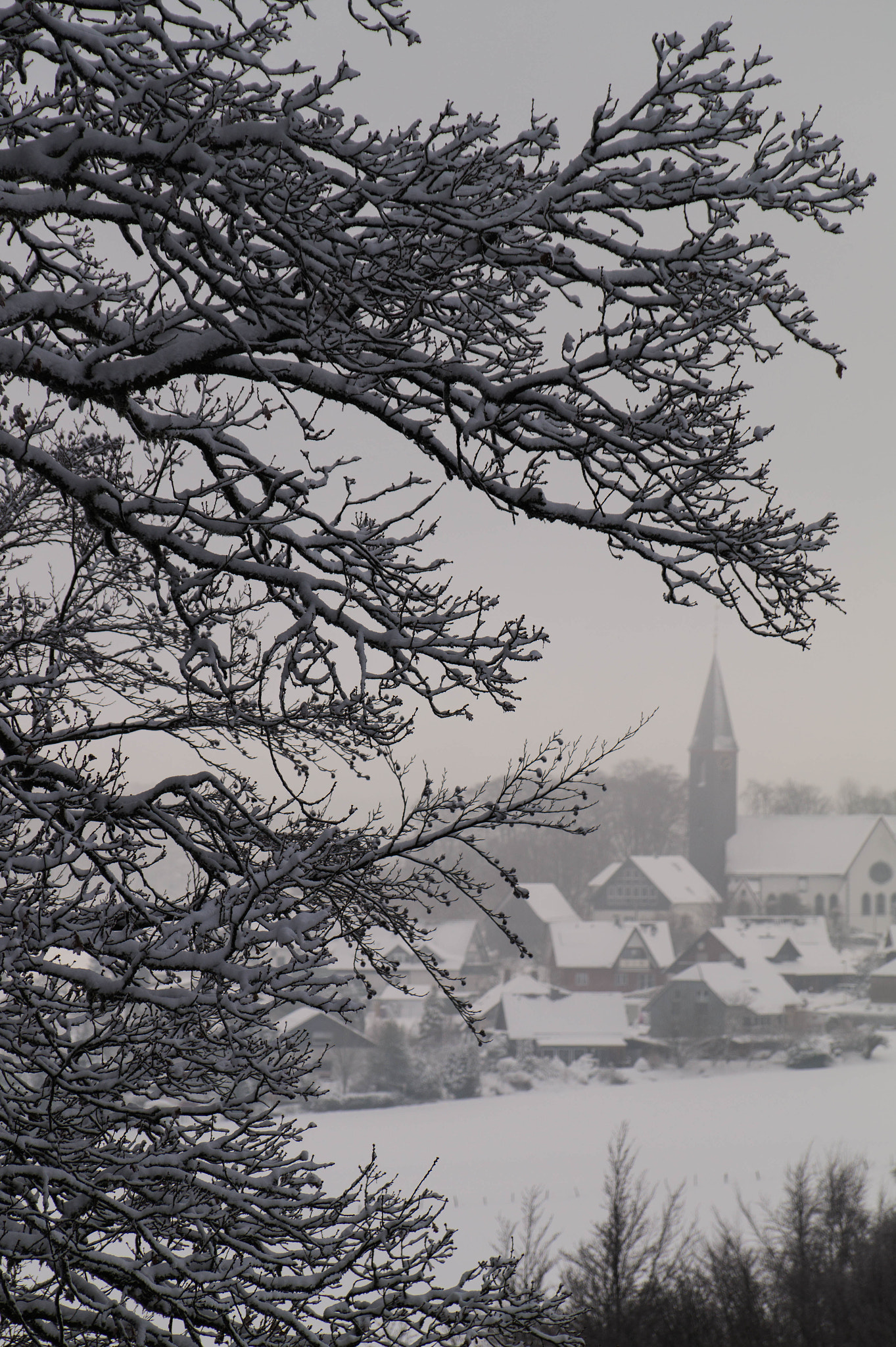 Sony DT 18-135mm F3.5-5.6 SAM sample photo. Winter impressions -2- photography