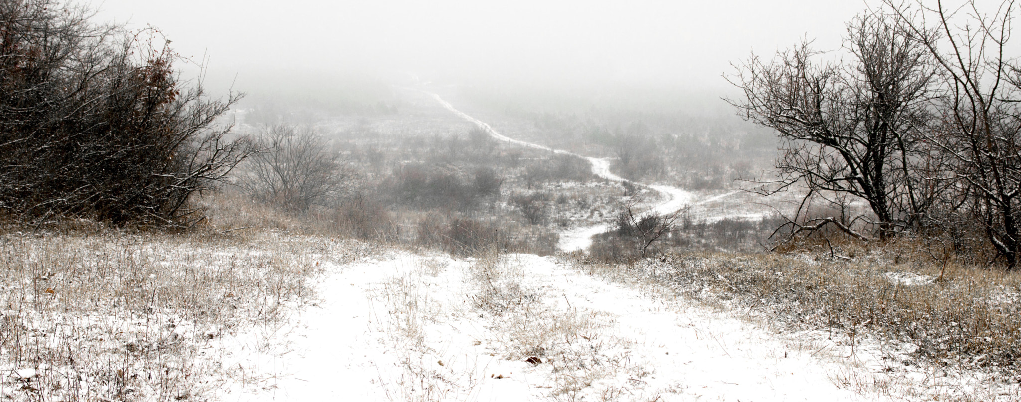 Nikon D3200 + Sigma 17-70mm F2.8-4 DC Macro OS HSM sample photo. Winter photography