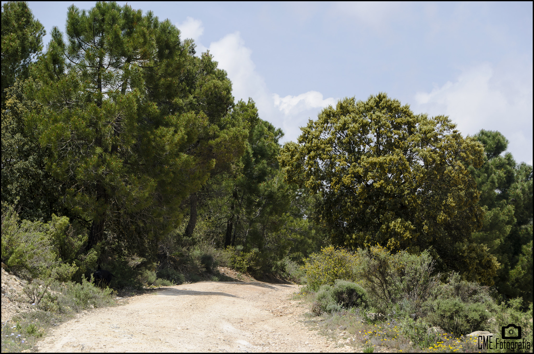 Nikon D5100 + Nikon PC-E Nikkor 24mm F3.5D ED Tilt-Shift sample photo. Campos manchegos photography