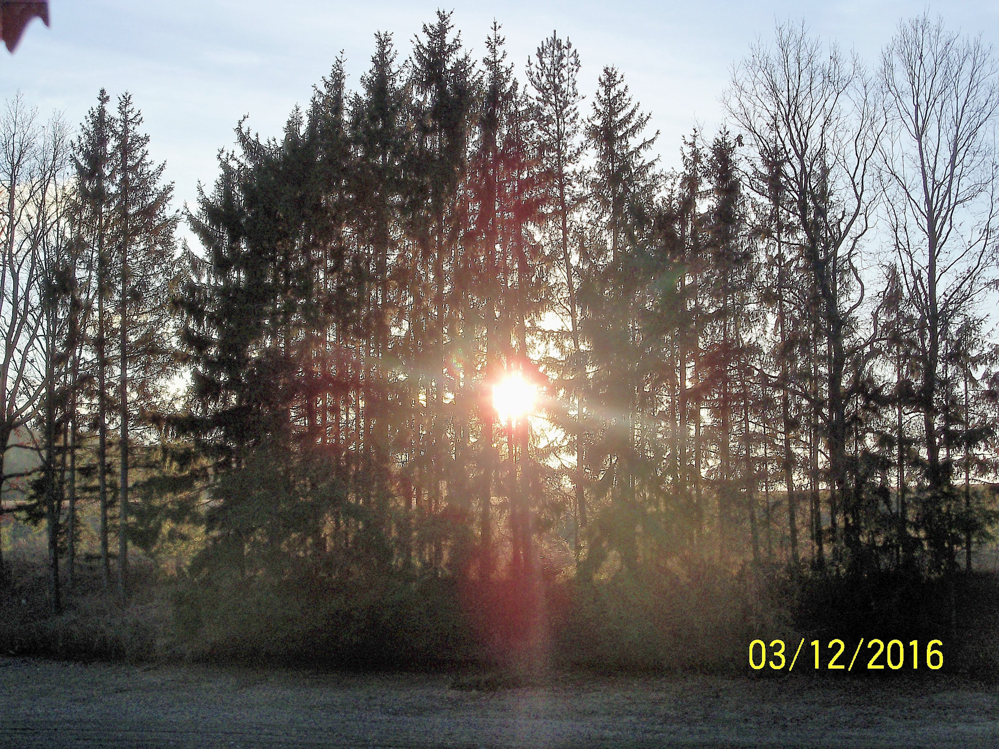 Kodak EasyShare Z915 sample photo. The game oh light photography