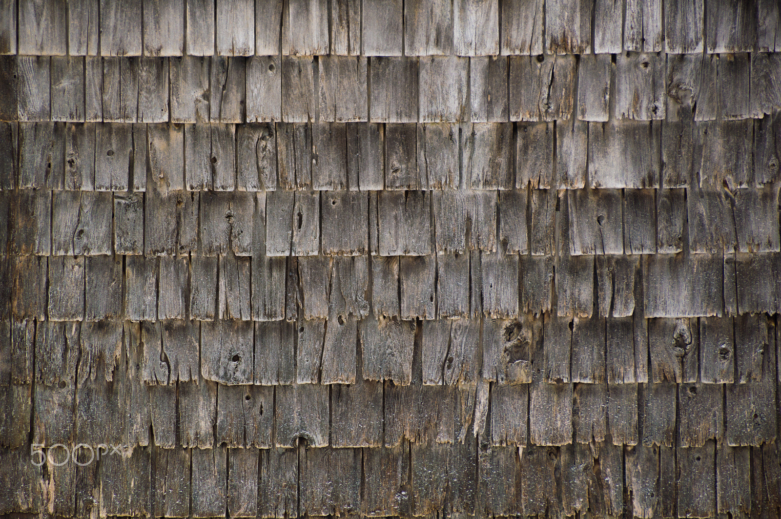 Nikon D3200 sample photo. Background wall of rough weathered grey cedar shakes shingles photography