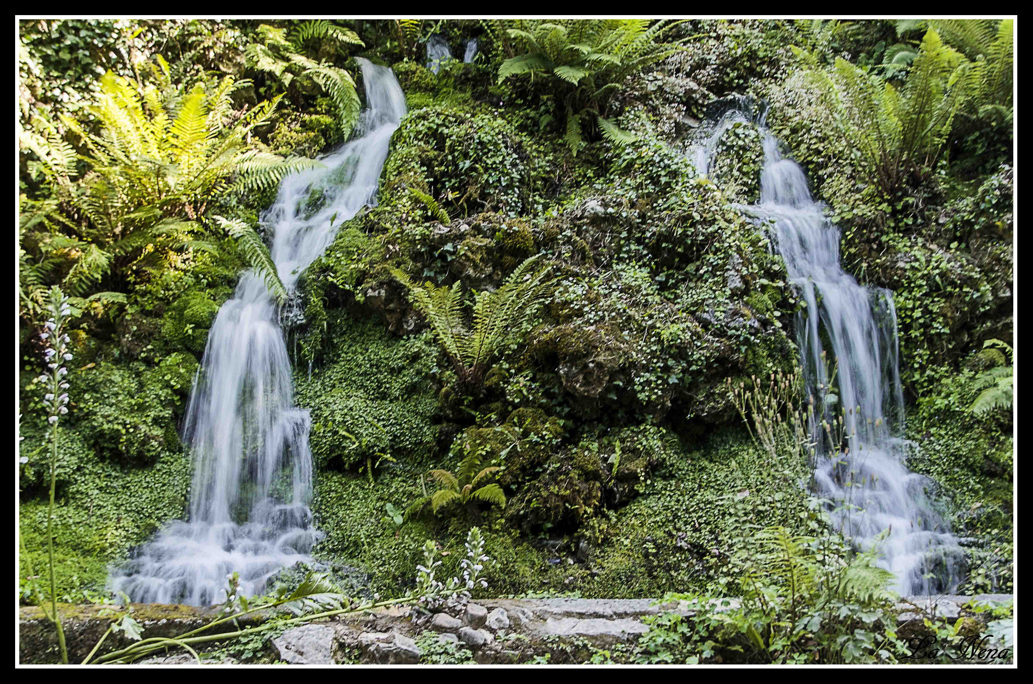 Nikon D5100 + Nikon PC-E Nikkor 24mm F3.5D ED Tilt-Shift sample photo. Naturaleza photography