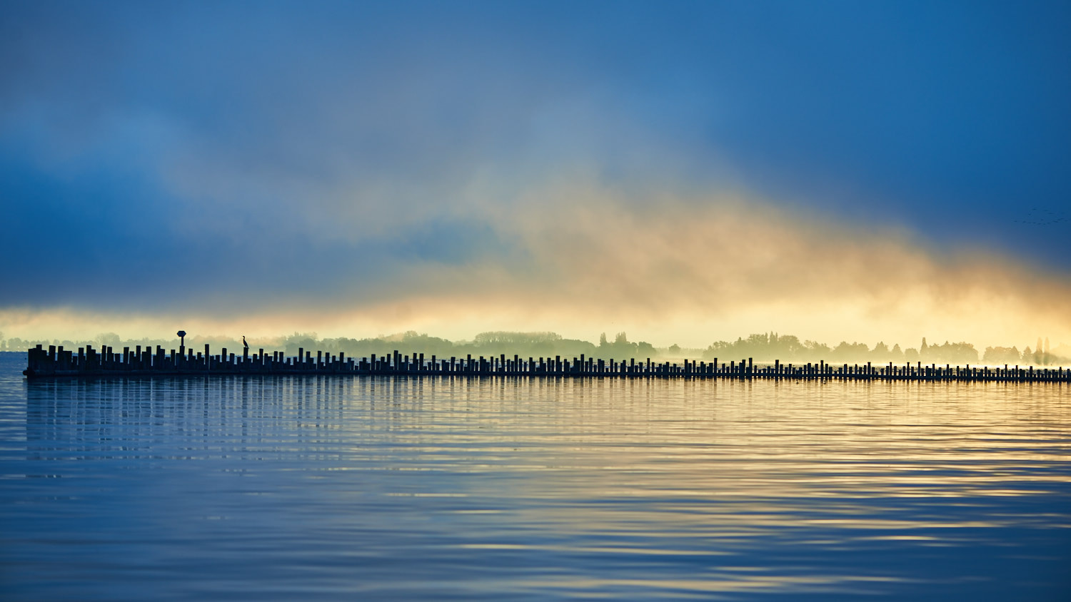 Nikon D600 sample photo. Lone fisher in the morning mist photography