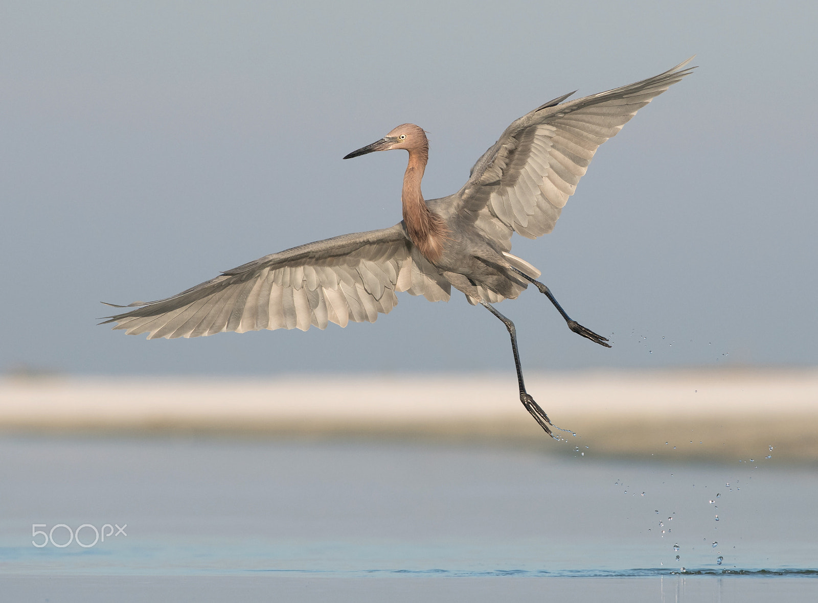 Nikon D500 + Nikon AF-S Nikkor 300mm F4D ED-IF sample photo. Contrails photography