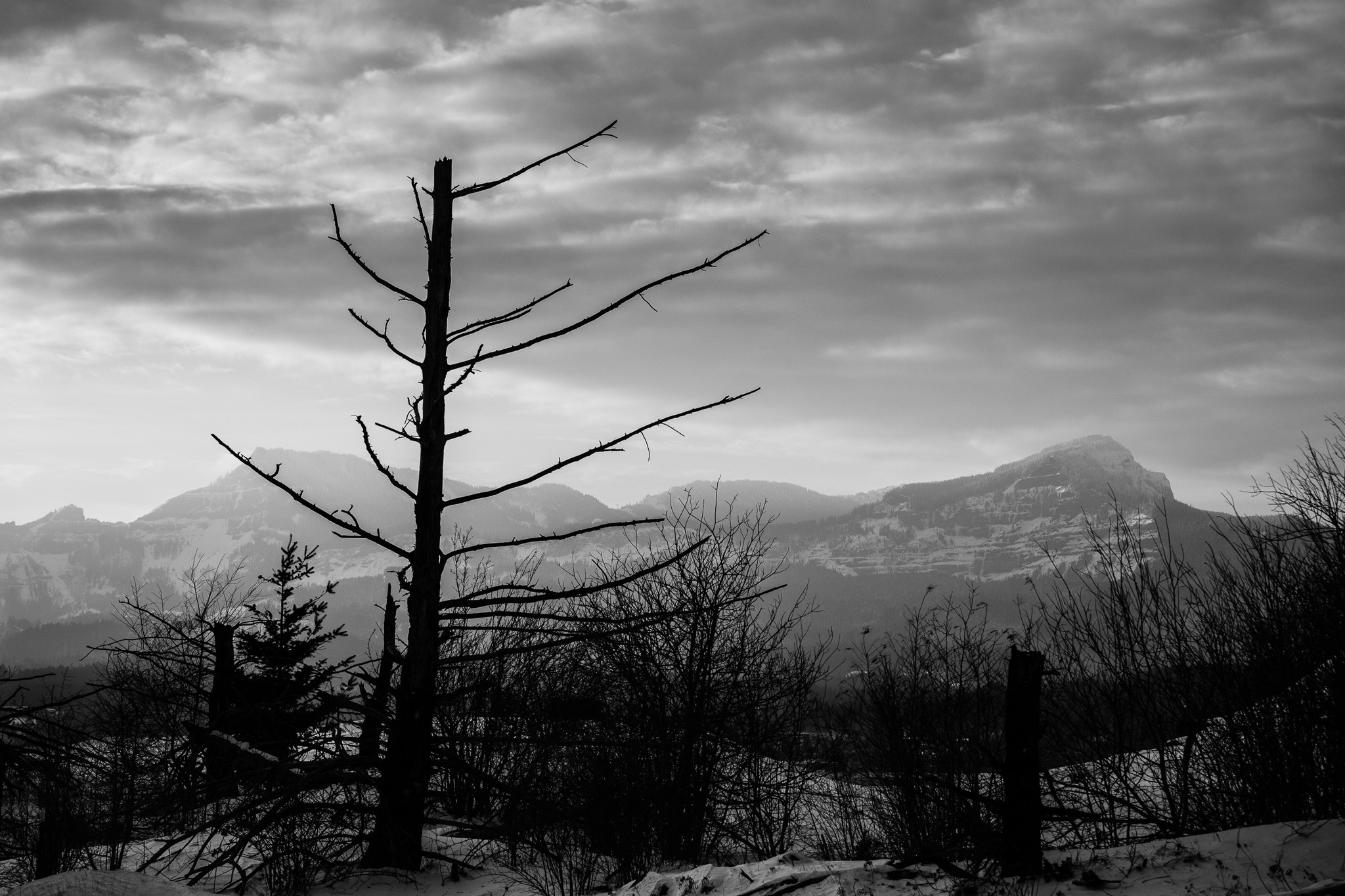 Fujifilm X-T2 + Fujifilm XC 50-230mm F4.5-6.7 OIS II sample photo. Snow in the hills photography