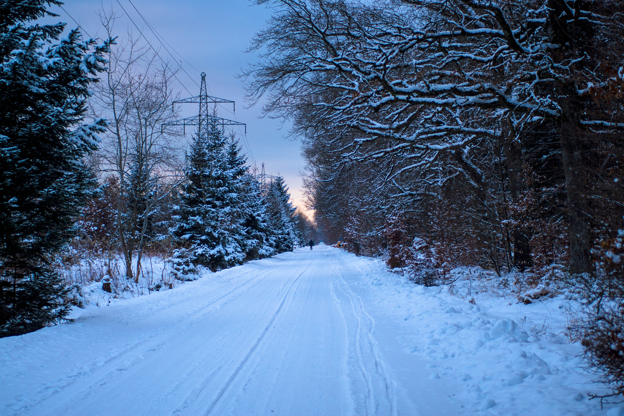 Sony a6000 sample photo. Der abendsonne entgegen photography