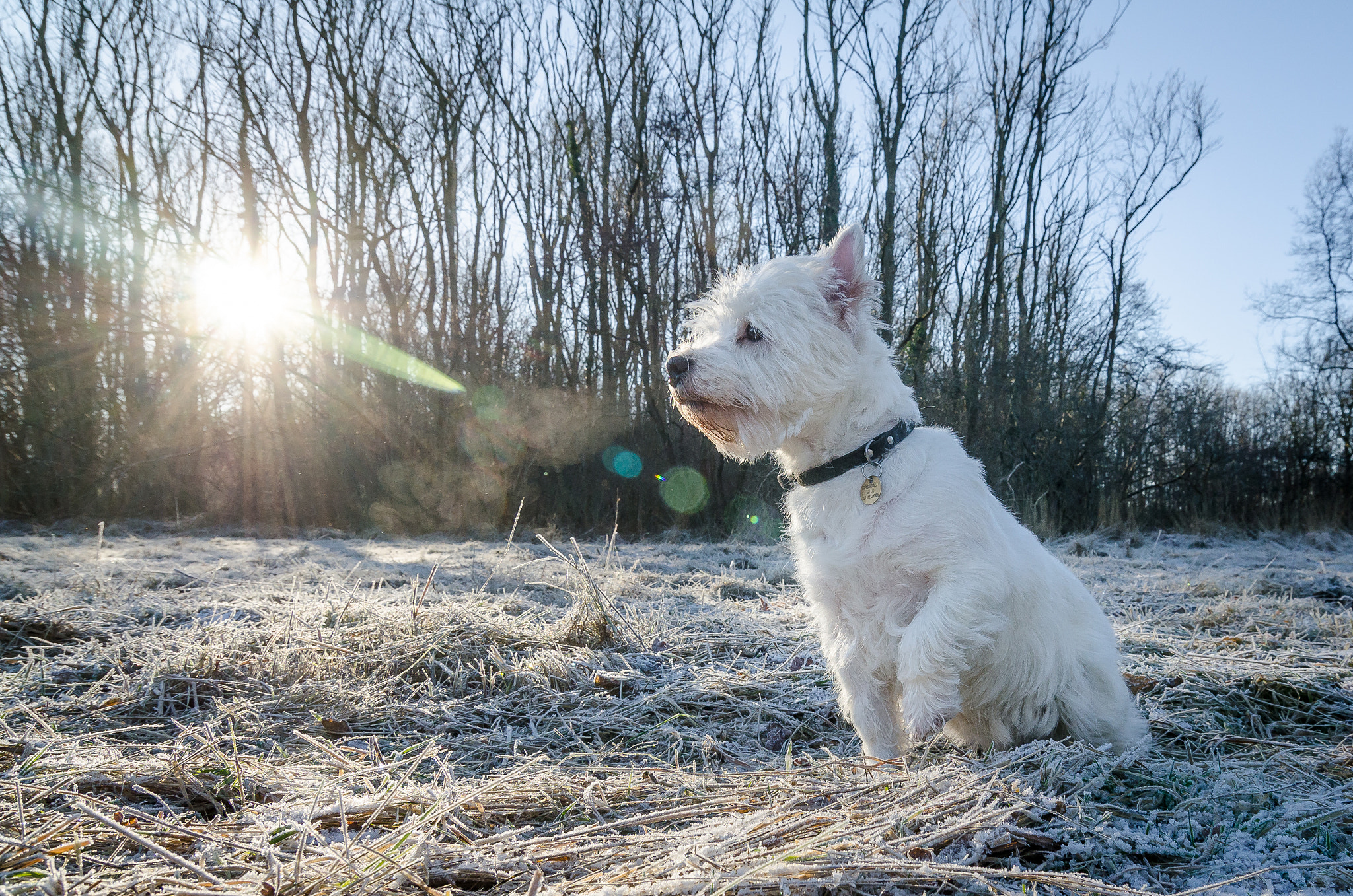 Tokina AT-X Pro 12-24mm F4 (IF) DX sample photo. Yuki photography
