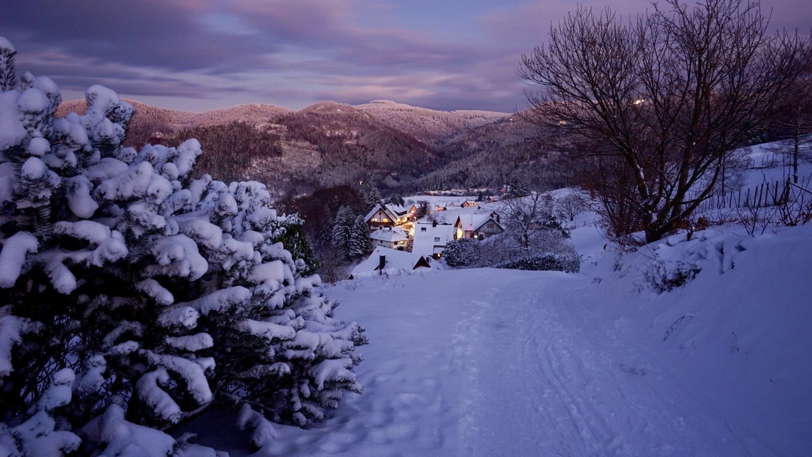 Sony a7 II sample photo. Am abend im nationalpark schwarzwald bei bühlertal. photography