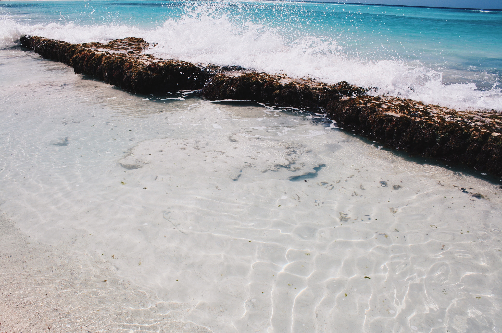 Canon EOS 1000D (EOS Digital Rebel XS / EOS Kiss F) sample photo. Barbados, my second home. photography