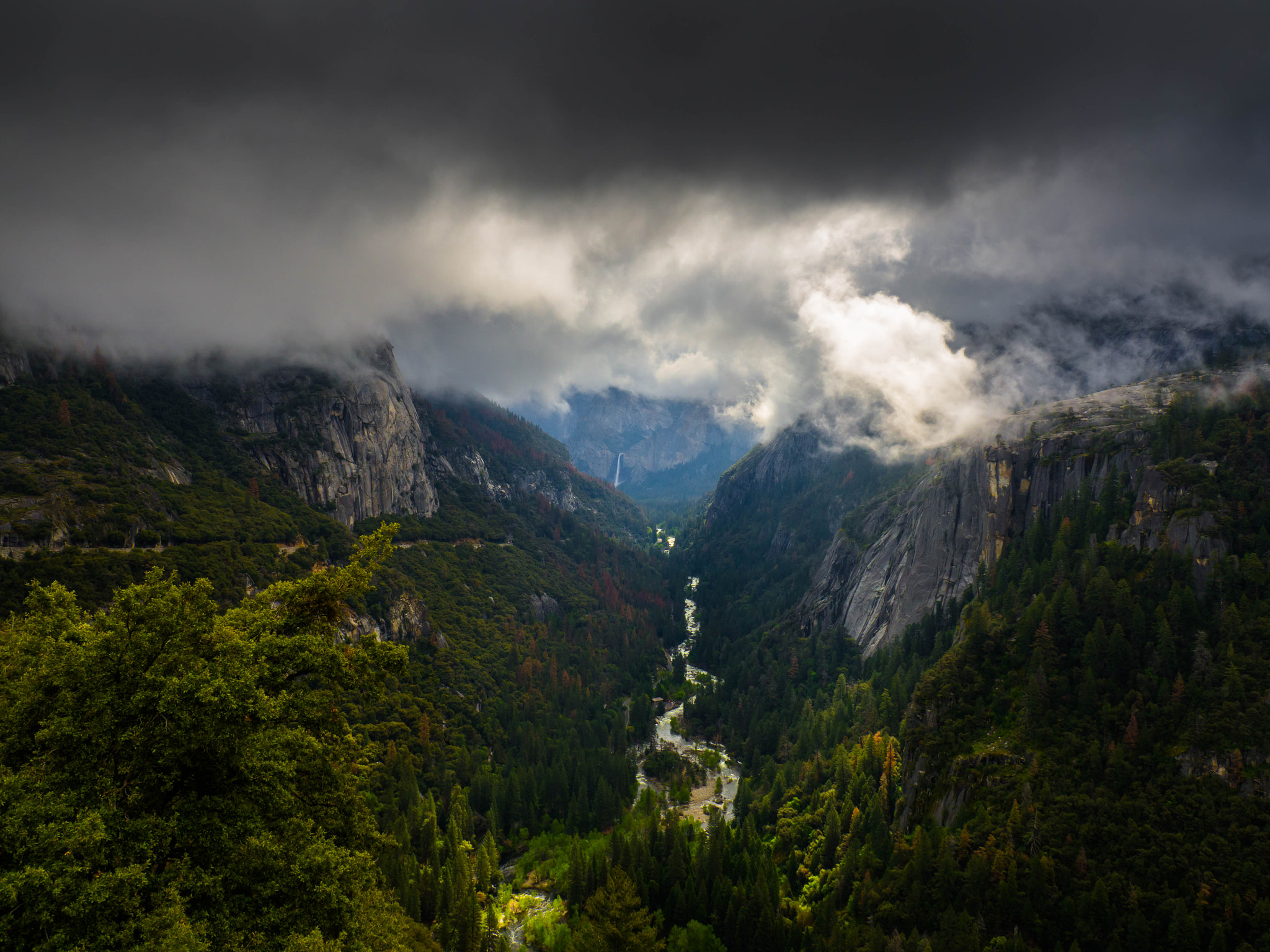 Olympus M.Zuiko Digital 14-42mm F3.5-5.6 II R sample photo. Yosemite np photography