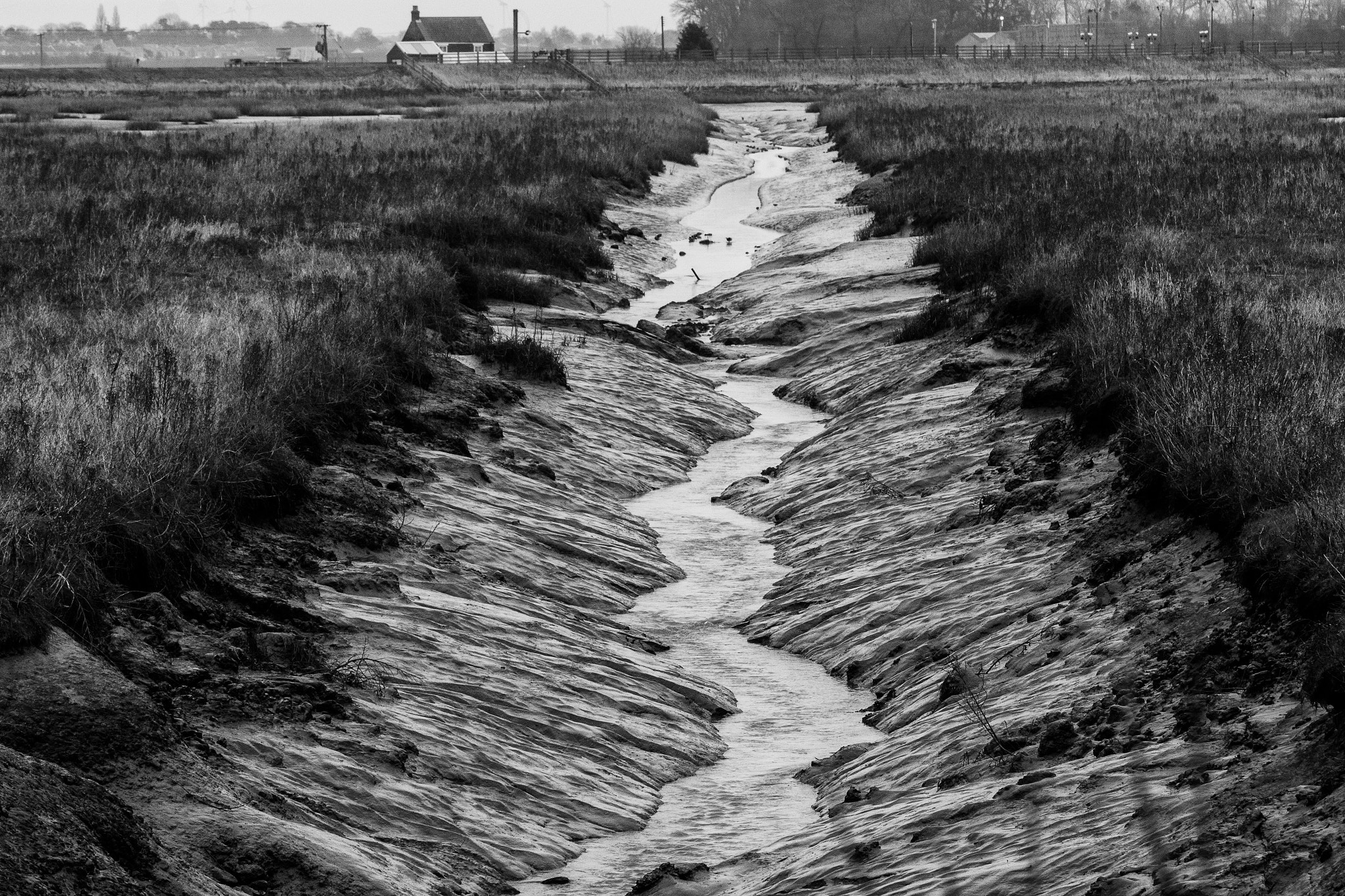 Canon EOS 70D sample photo. Paull nature reserve on a moody, damp day! east yorkshire, uk. photography