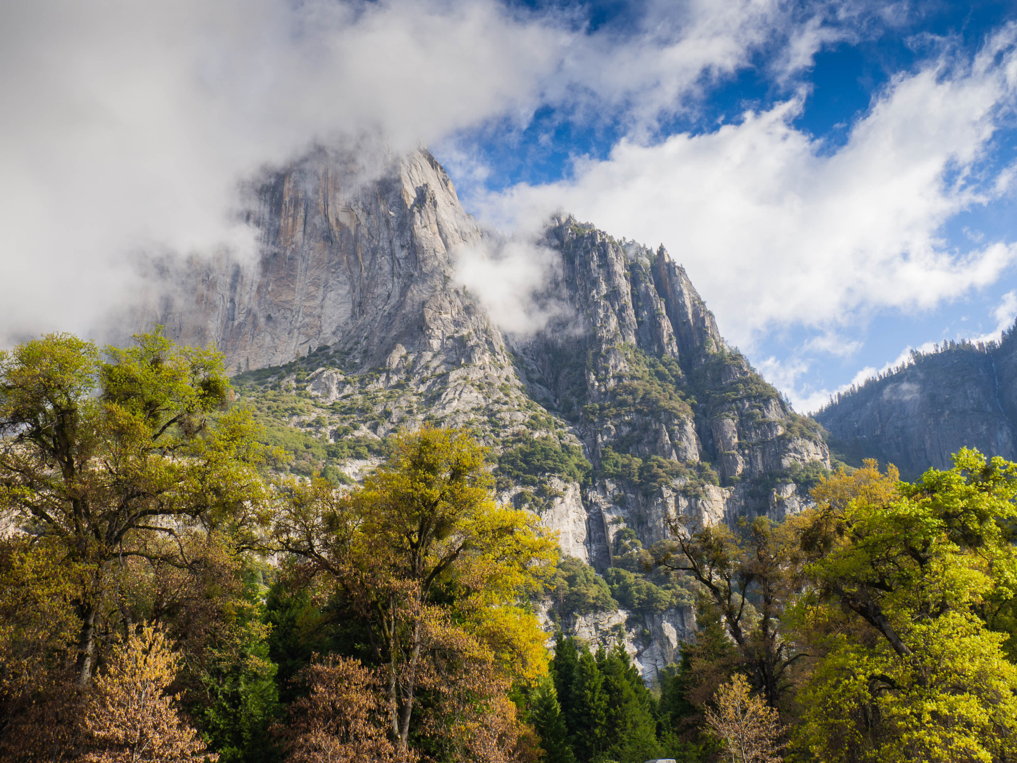 Olympus M.Zuiko Digital 14-42mm F3.5-5.6 II R sample photo. Yosemite np photography