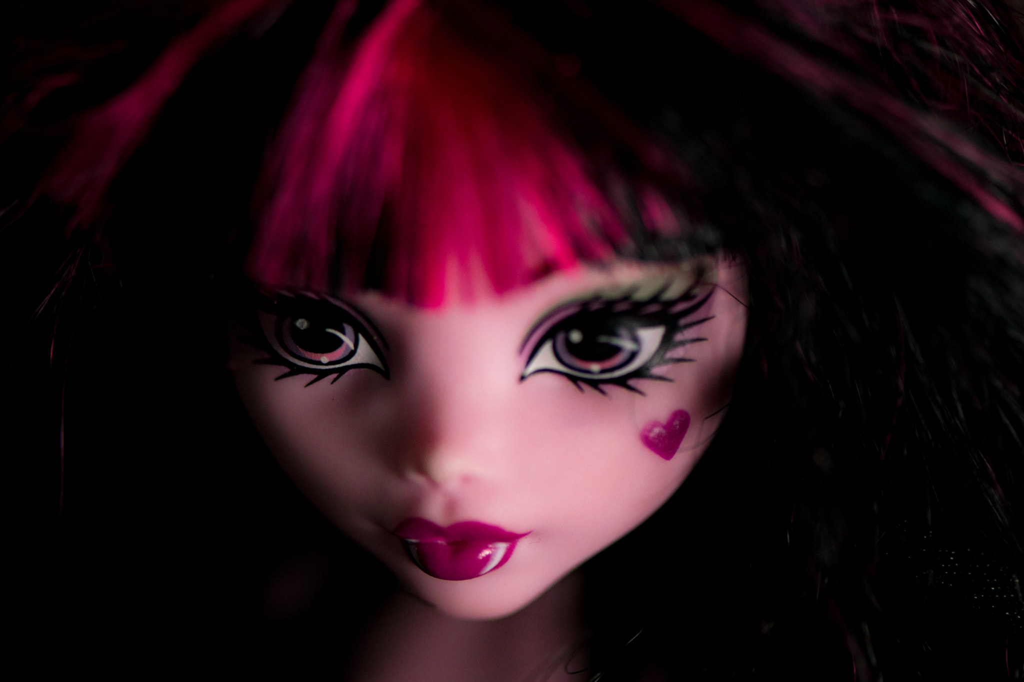 Nikon AF-S Micro-Nikkor 105mm F2.8G IF-ED VR sample photo. Draculaura photography
