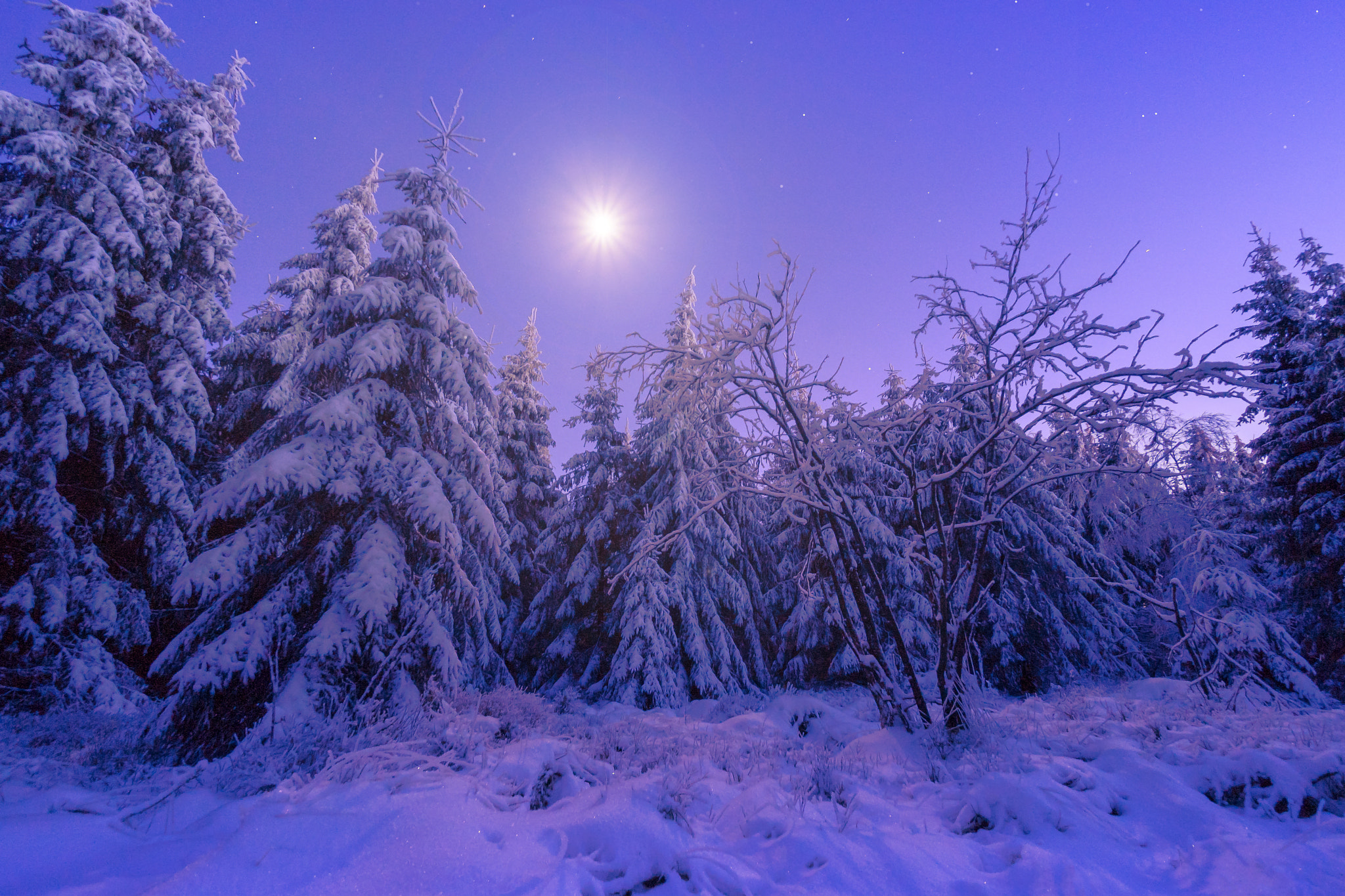 Sony a7 II + Sony E 10-18mm F4 OSS sample photo. Bright winter moon photography