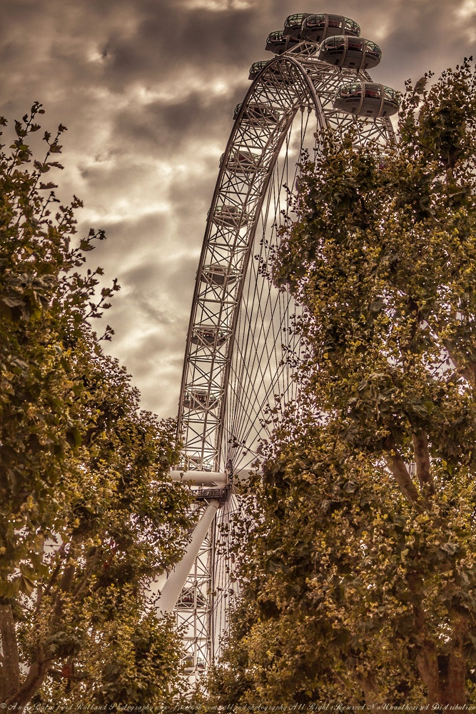 Canon EOS 5D Mark II sample photo. London eye photography