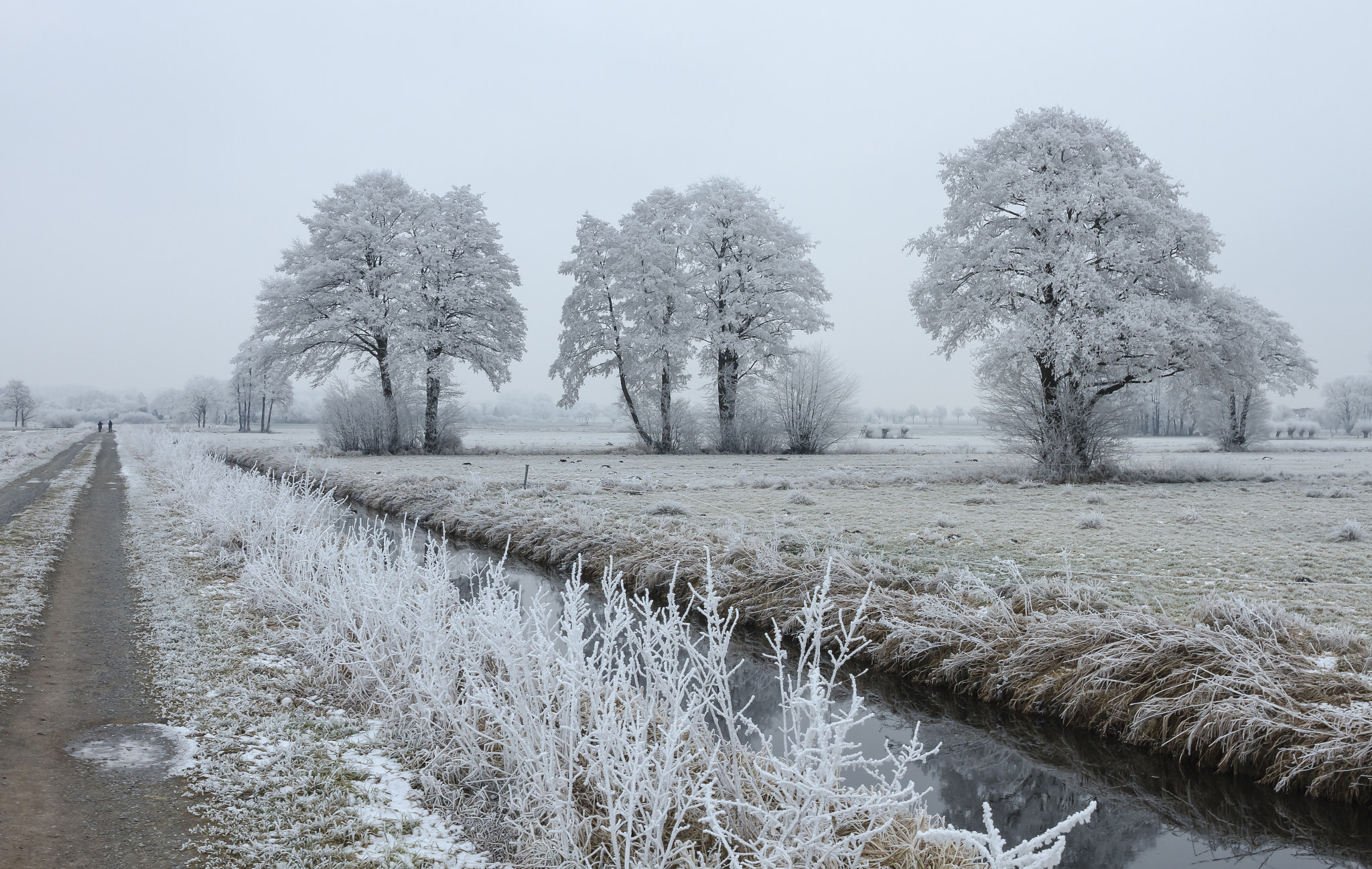 Canon EF 24-70mm F4L IS USM sample photo. Walk trough a quiet winter landscape photography