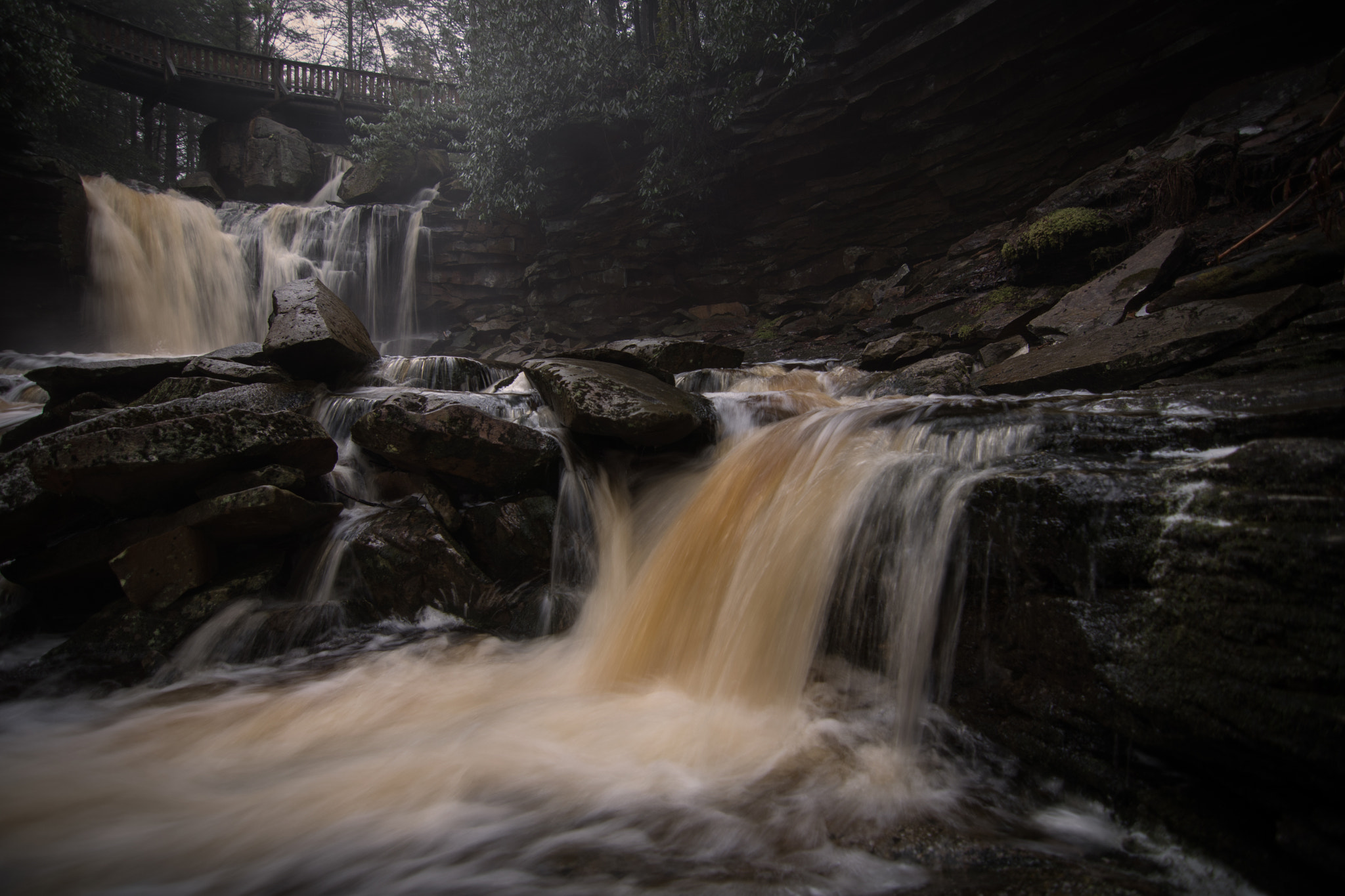 Nikon D500 sample photo. Elakala falls - blackwater falls state park photography