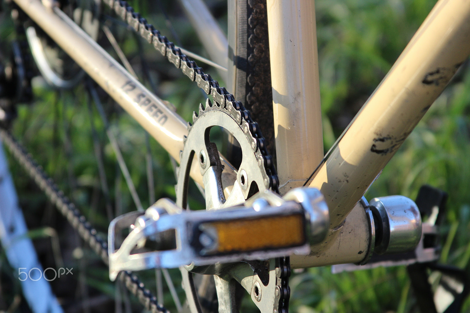 Canon EF 28-135mm F3.5-5.6 IS USM sample photo. Img photography