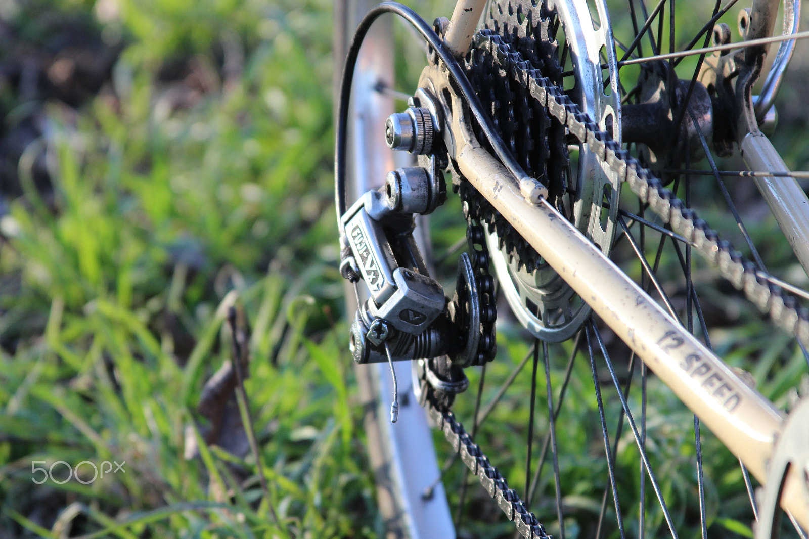 Canon EF 28-135mm F3.5-5.6 IS USM sample photo. Img photography