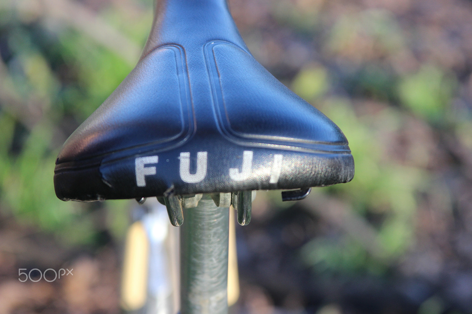 Canon EF 28-135mm F3.5-5.6 IS USM sample photo. Img photography