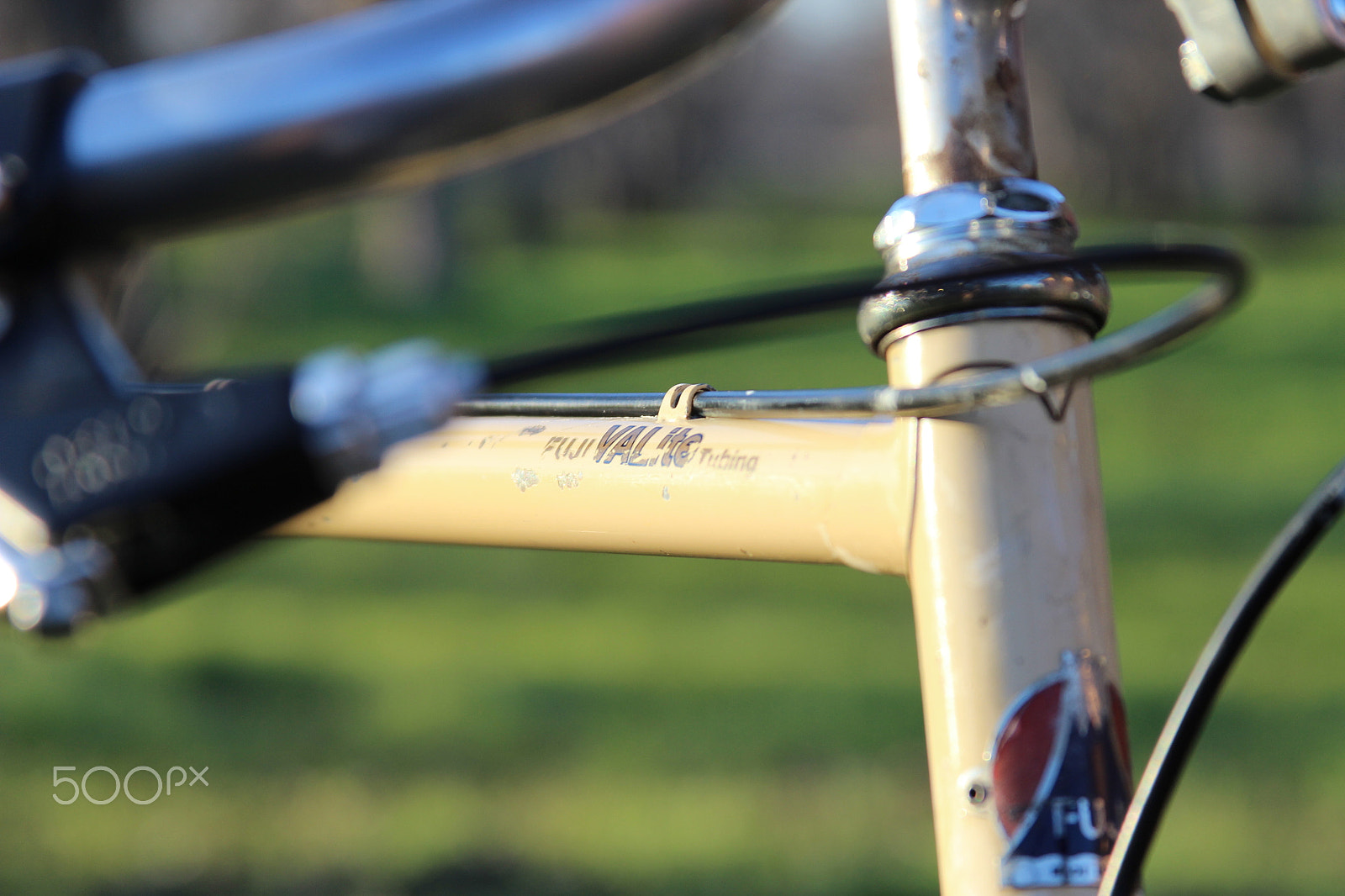 Canon EF 28-135mm F3.5-5.6 IS USM sample photo. Img photography