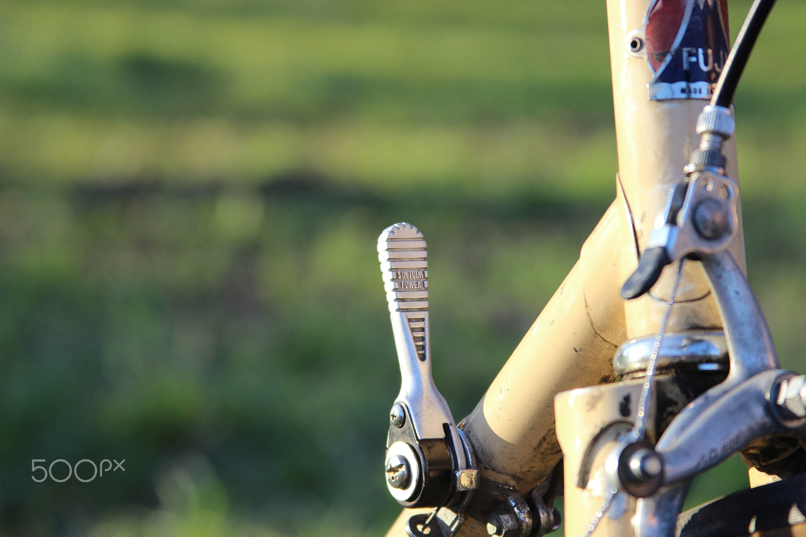 Canon EF 28-135mm F3.5-5.6 IS USM sample photo. Img photography