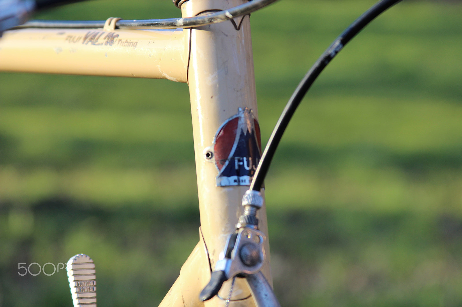 Canon EF 28-135mm F3.5-5.6 IS USM sample photo. Img photography