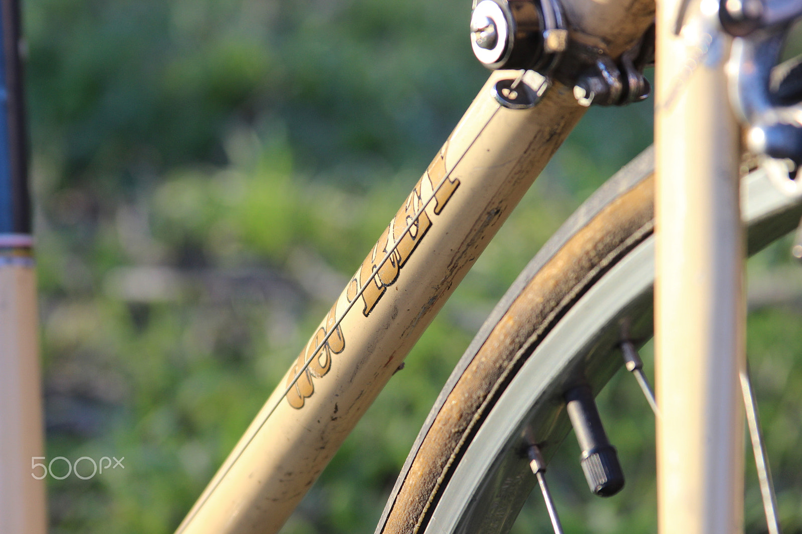 Canon EF 28-135mm F3.5-5.6 IS USM sample photo. Img photography