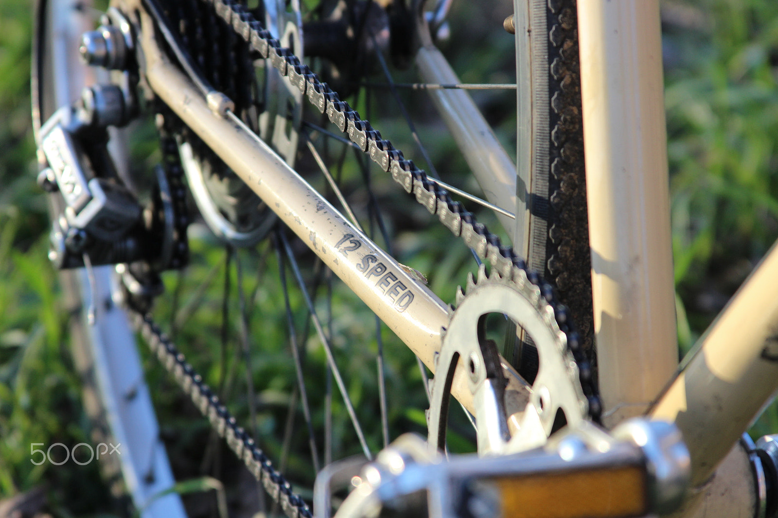 Canon EF 28-135mm F3.5-5.6 IS USM sample photo. Img photography