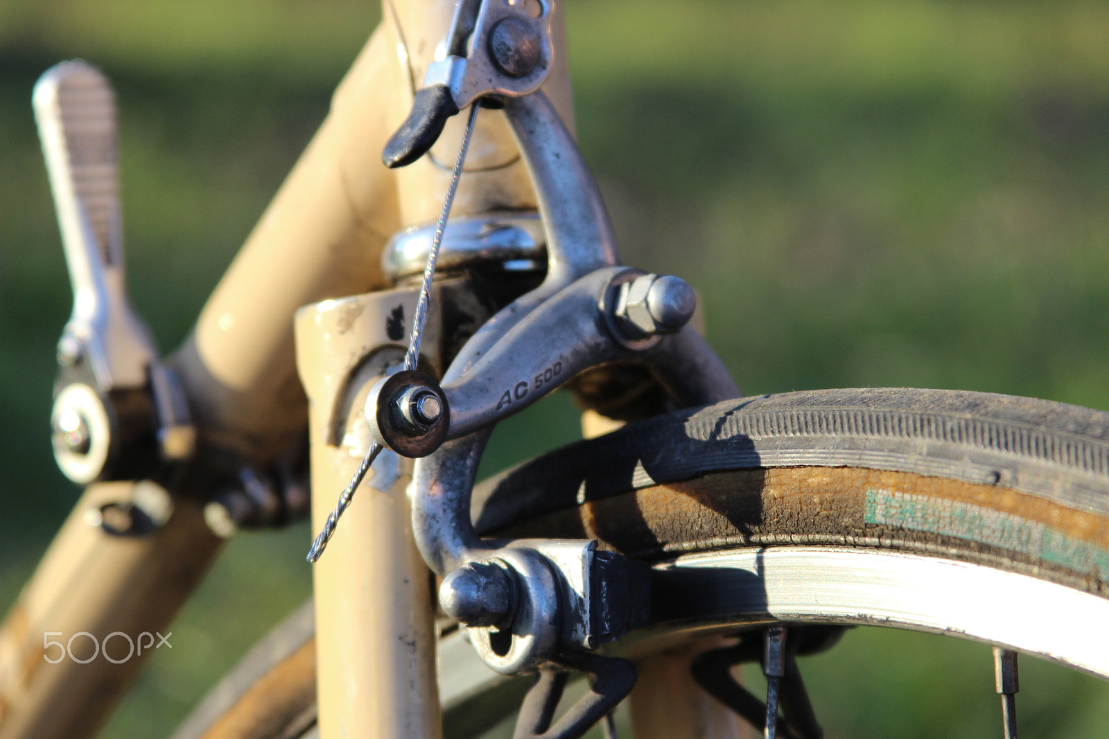 Canon EF 28-135mm F3.5-5.6 IS USM sample photo. Img photography